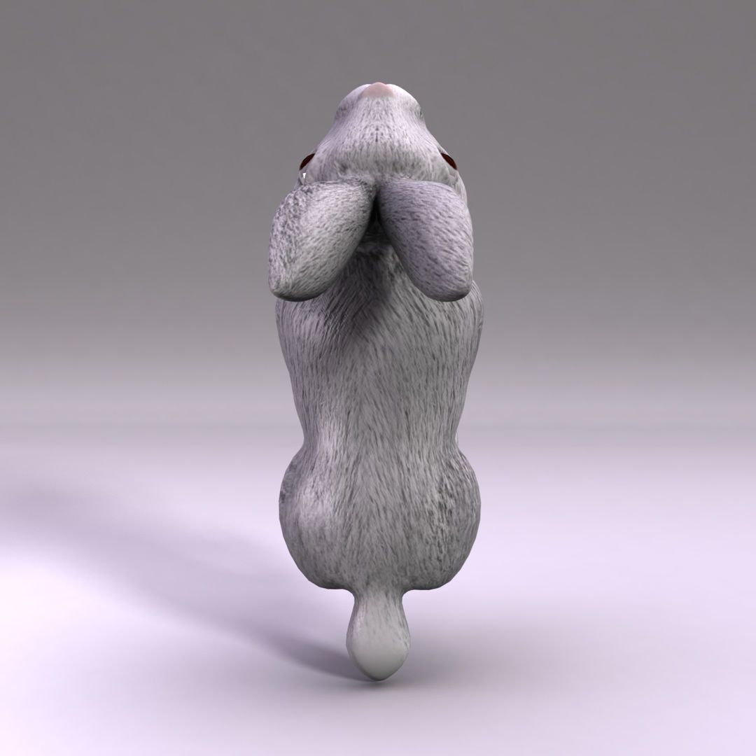 Rabbit Low-poly 3D model_4