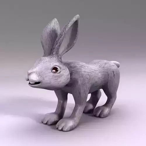 Rabbit