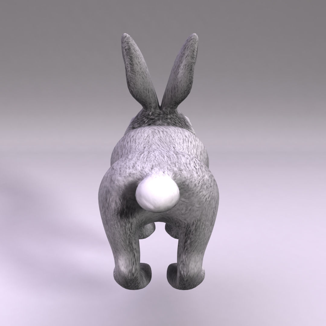Rabbit Low-poly 3D model_3