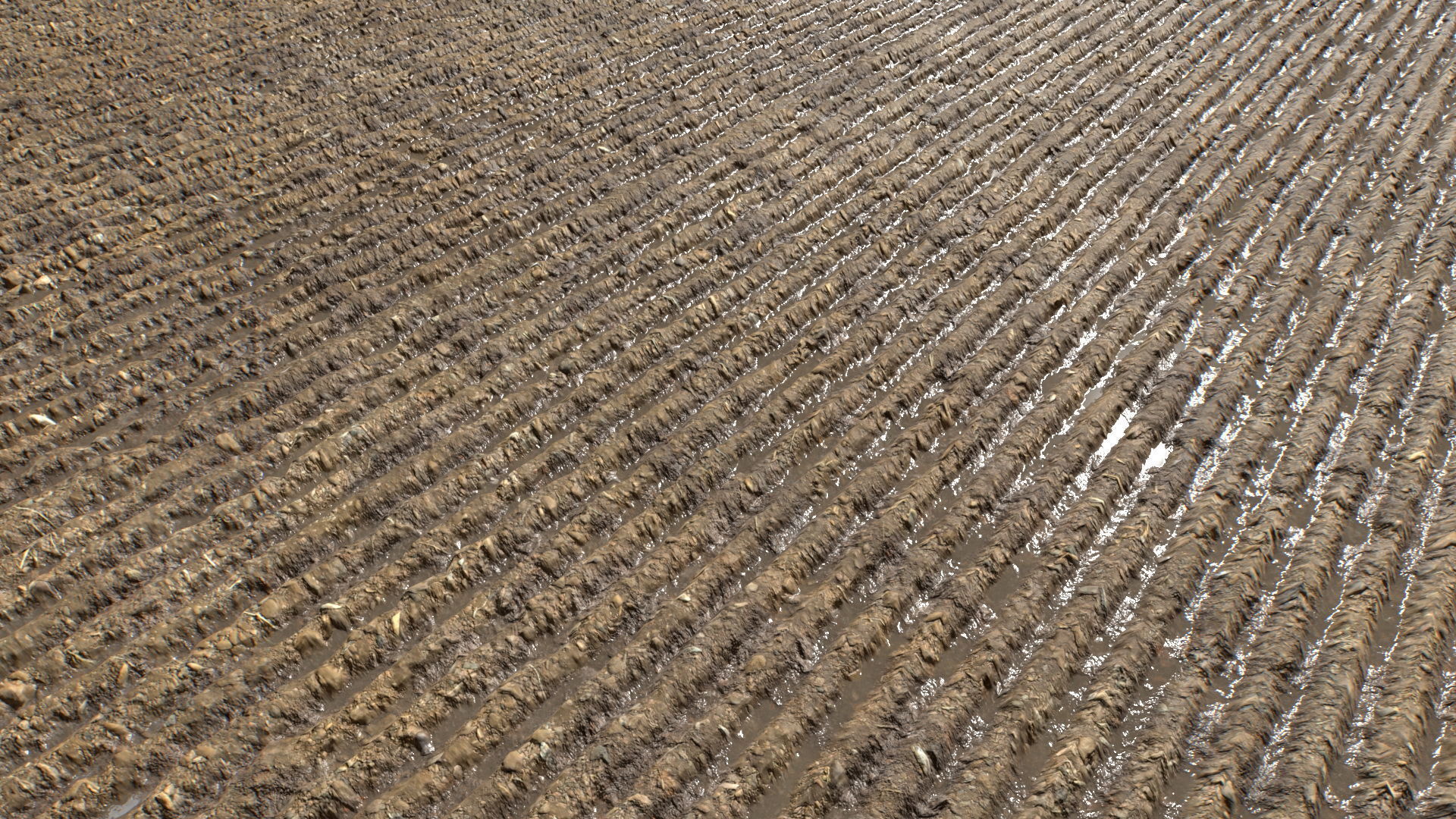 Farm Terrain Textures Pack 3 Texture_5