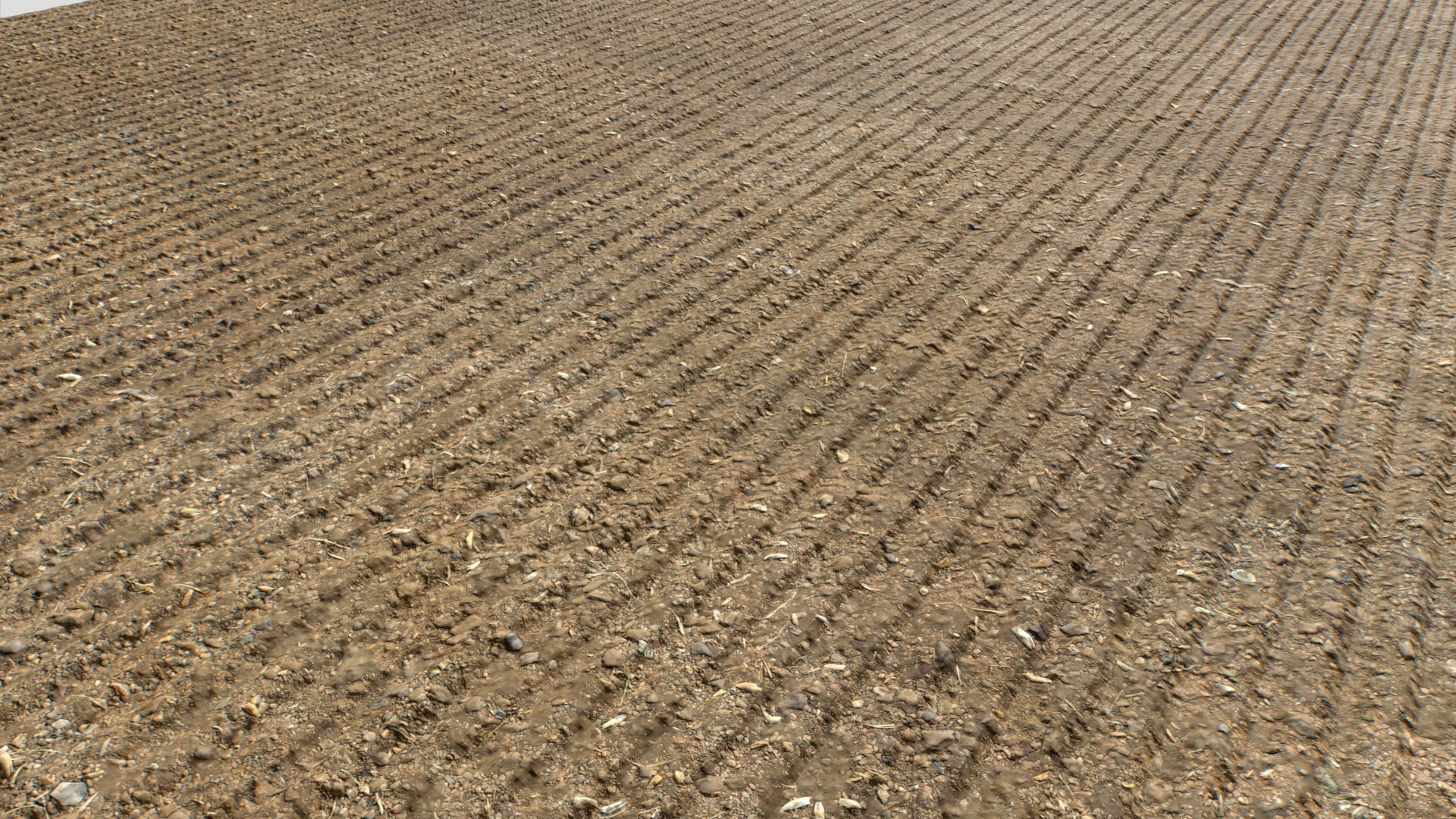 Farm Terrain Textures Pack 3 Texture_17