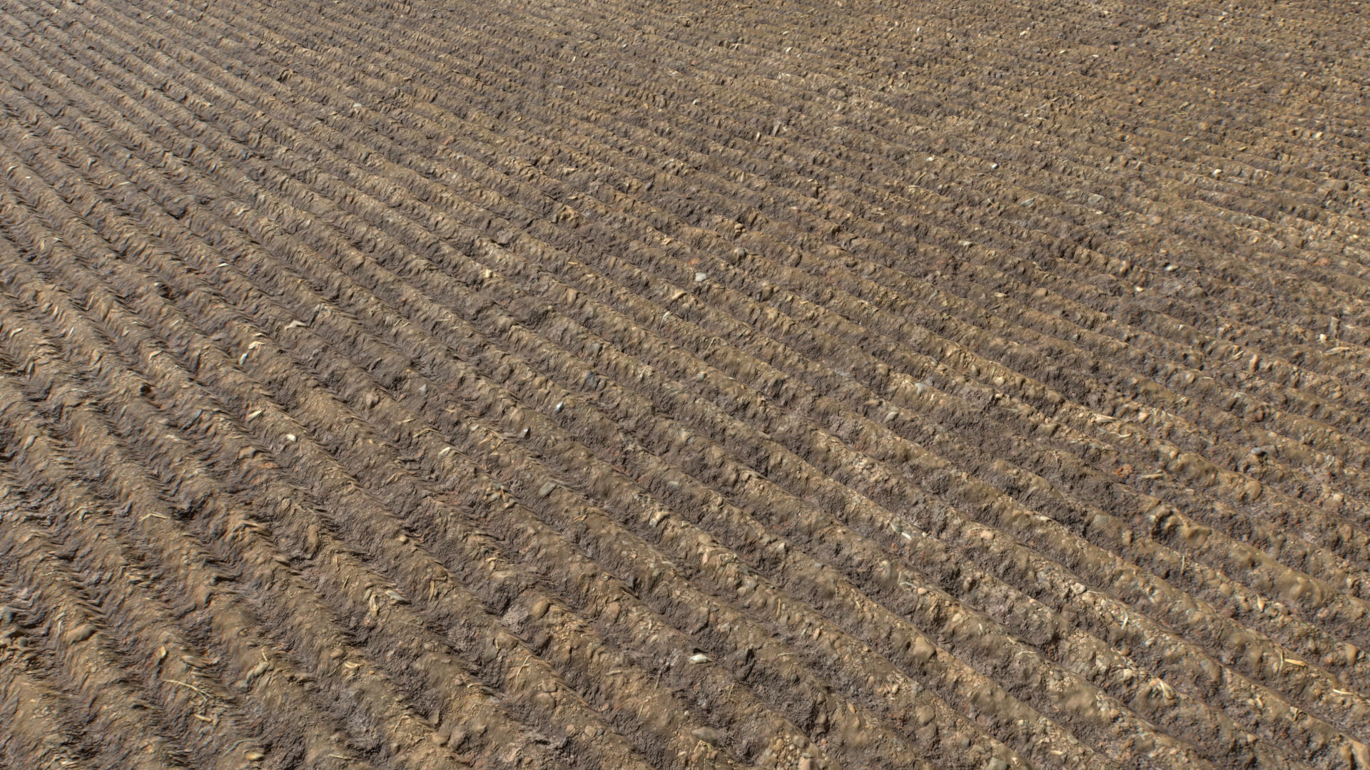 Farm Terrain Textures Pack 3 Texture_8
