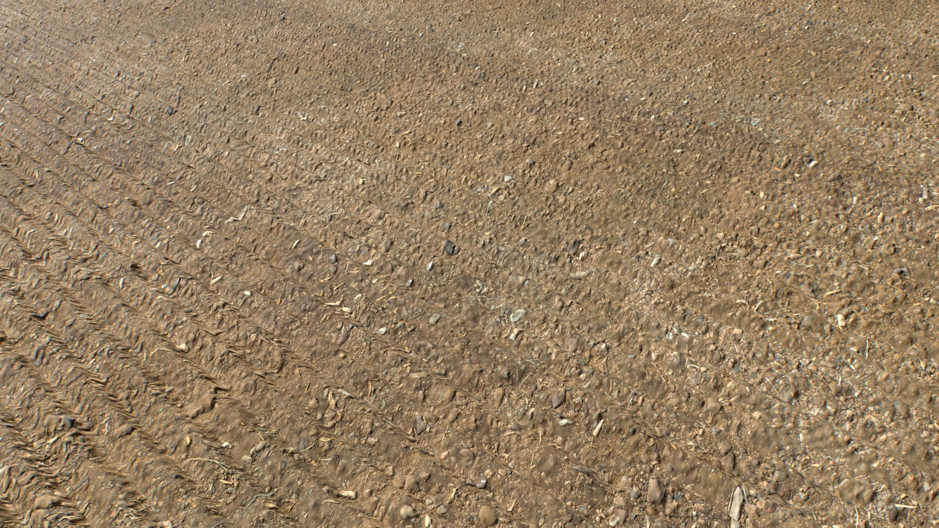 Farm Terrain Textures Pack 3 Texture_10