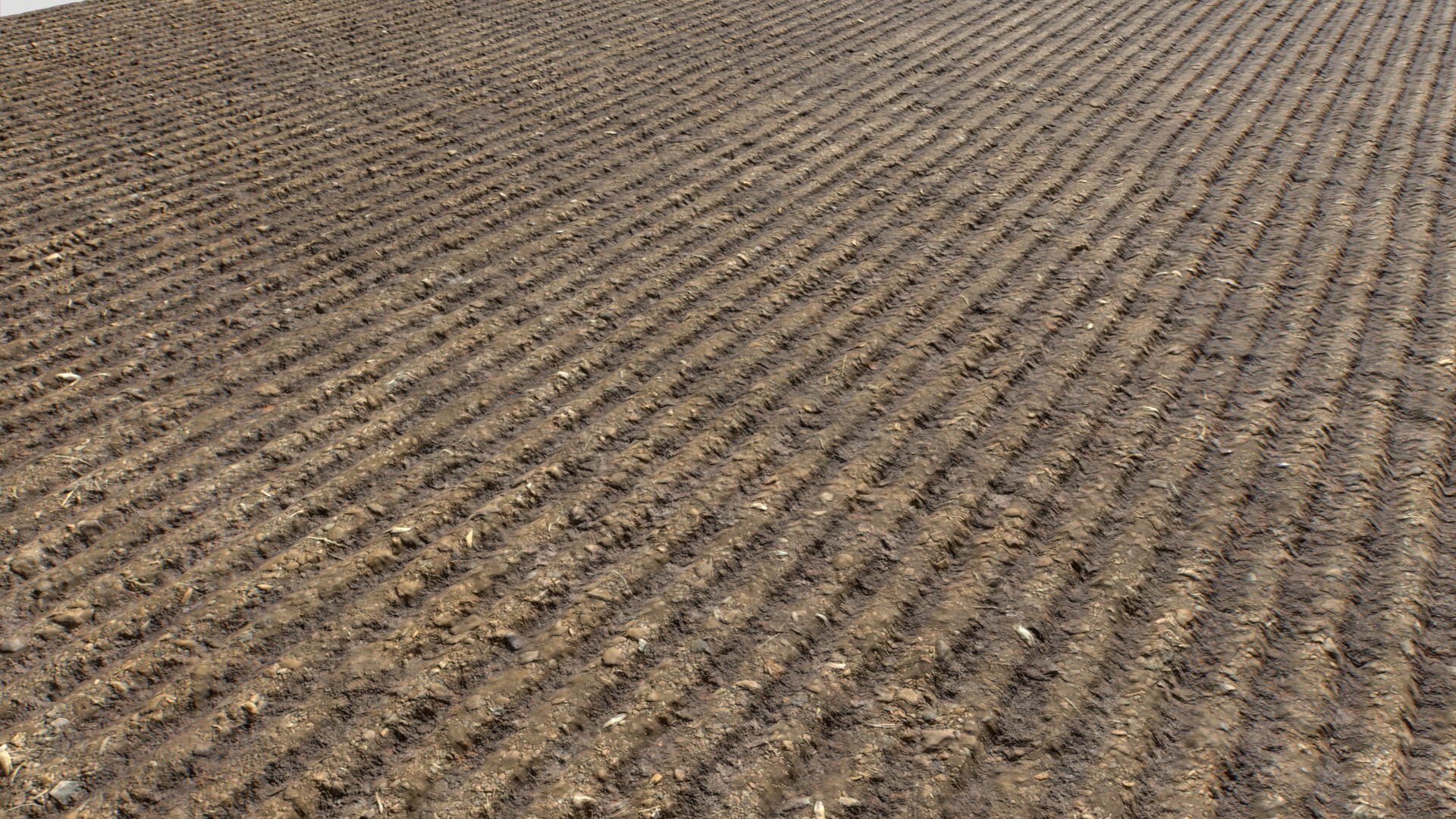 Farm Terrain Textures Pack 3 Texture_16