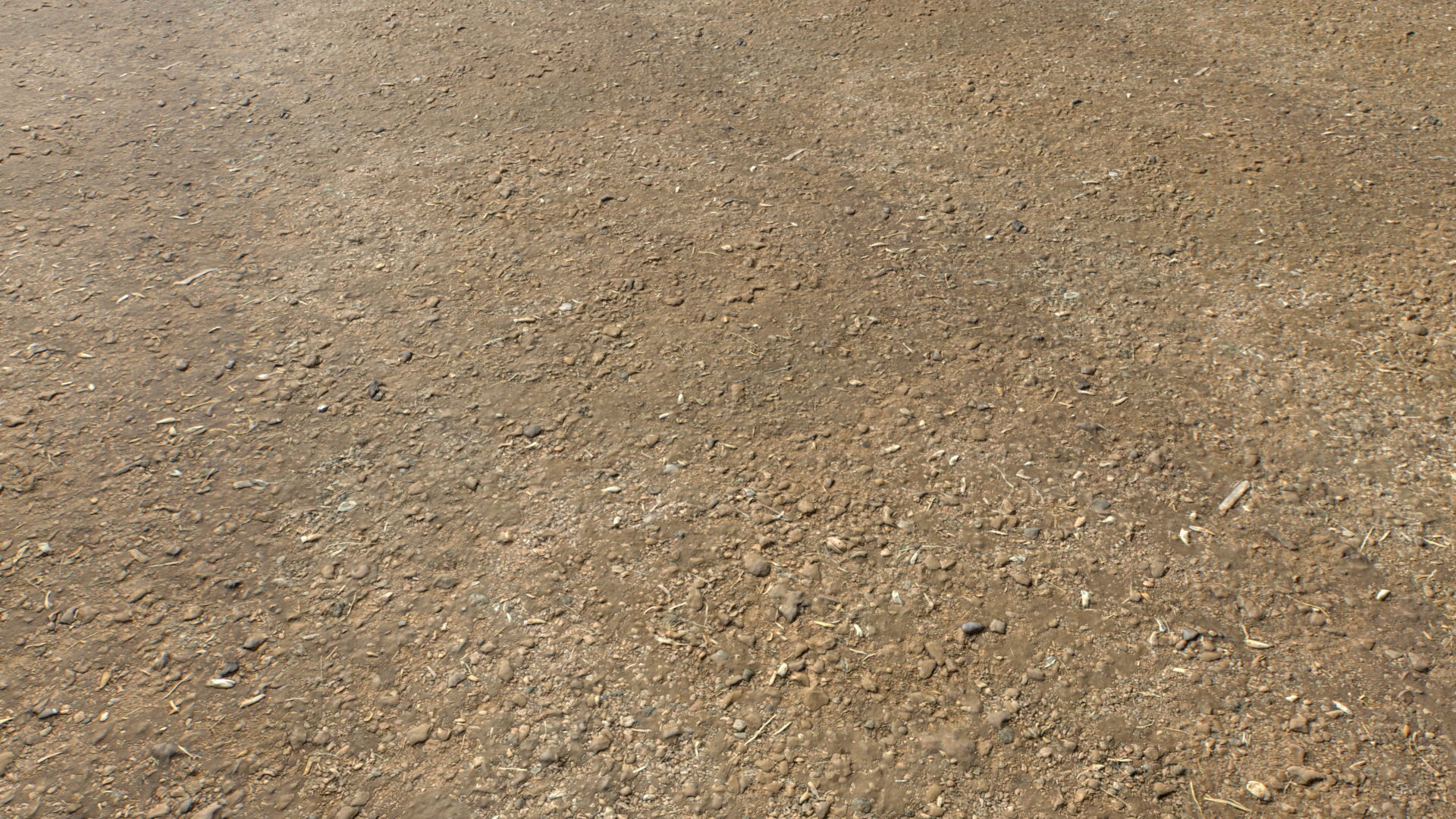 Farm Terrain Textures Pack 3 Texture_12