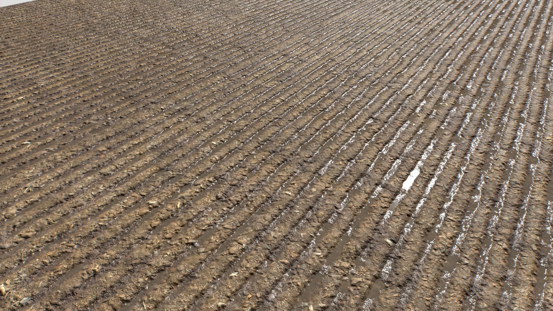 Farm Terrain Textures Pack 3 Texture_13