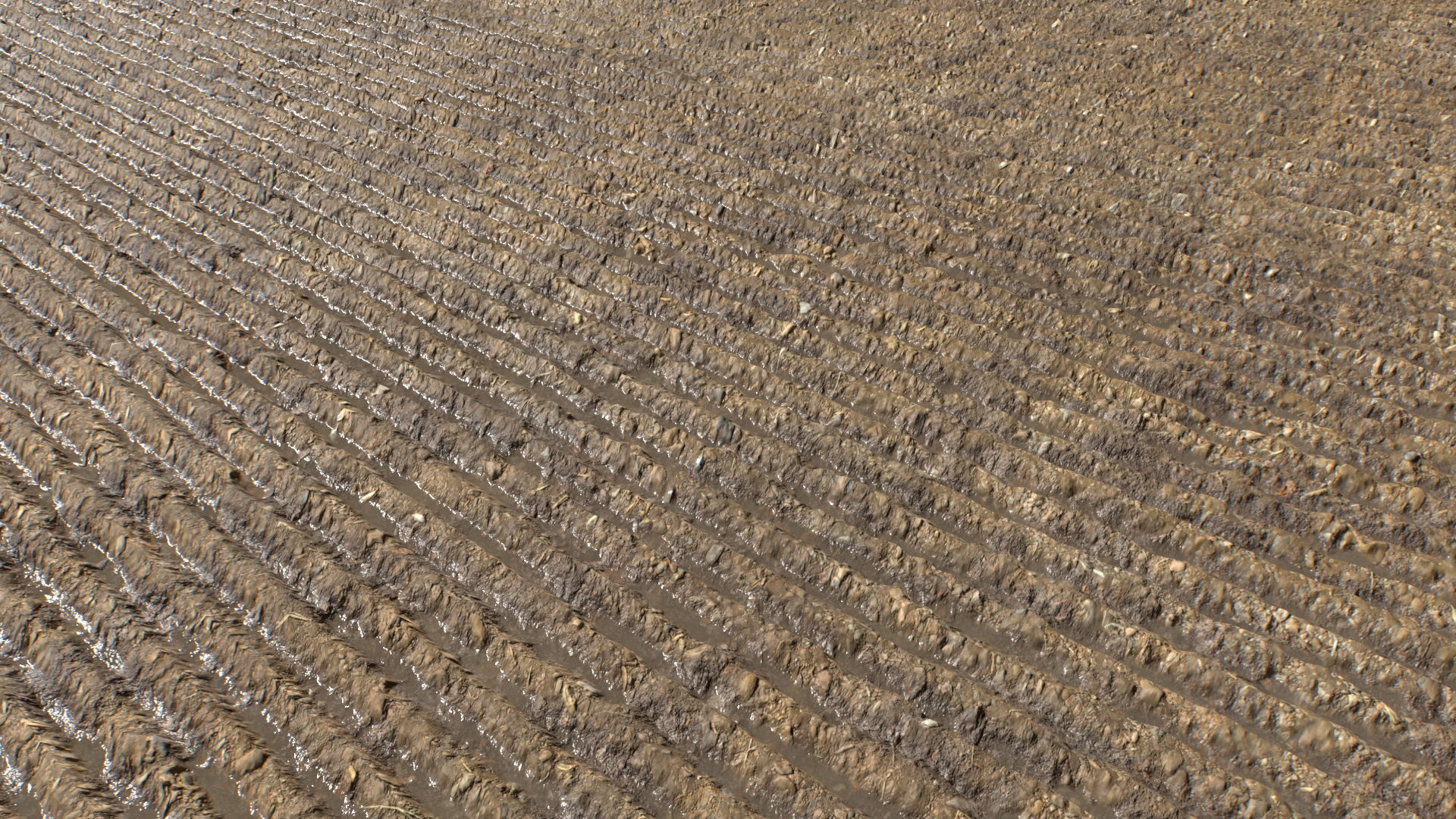 Farm Terrain Textures Pack 3 Texture_6