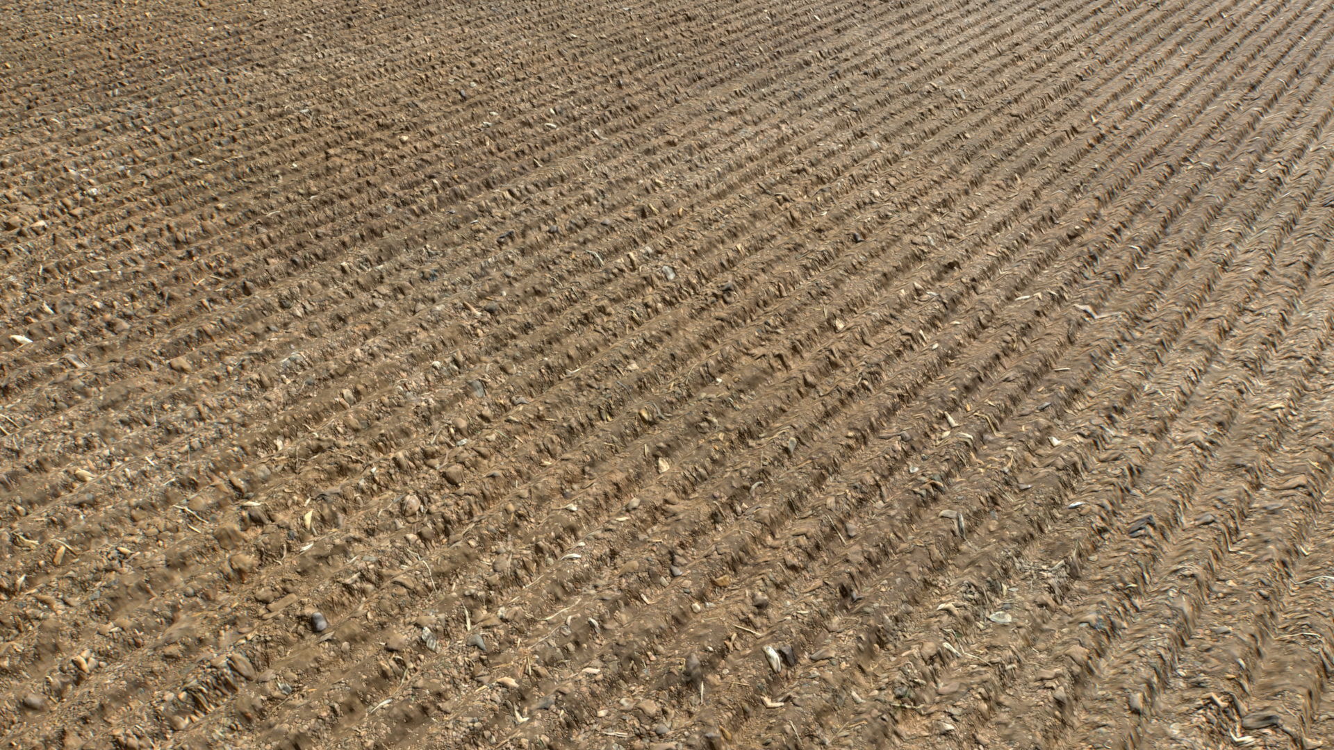 Farm Terrain Textures Pack 3 Texture_9