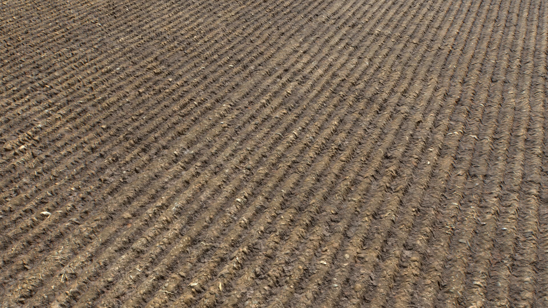 Farm Terrain Textures Pack 3 Texture_7