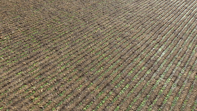 Farm Terrain Textures Pack 3 Texture