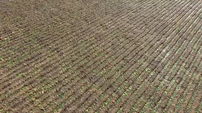 Farm Terrain Textures Pack 3