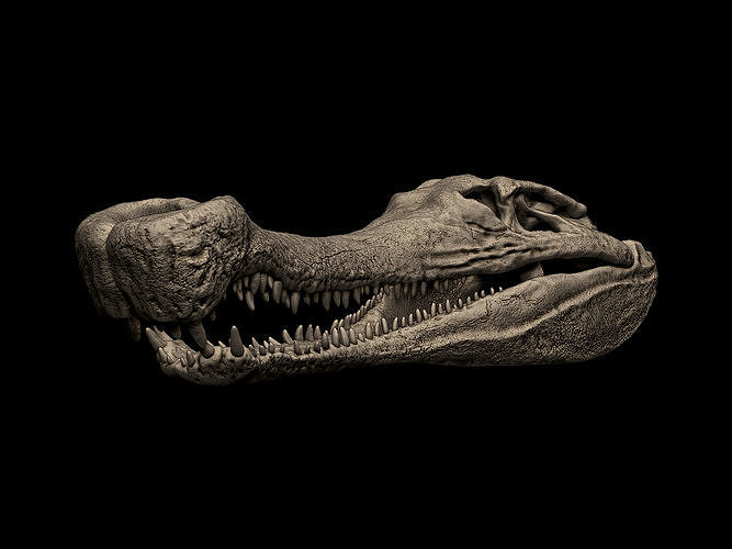 Sarcosuchus Skull 3D print model
