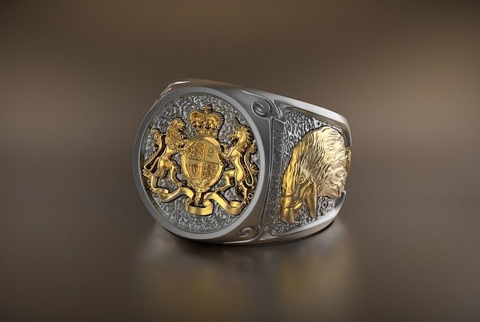 Eclipse Flow Ring 3D print model