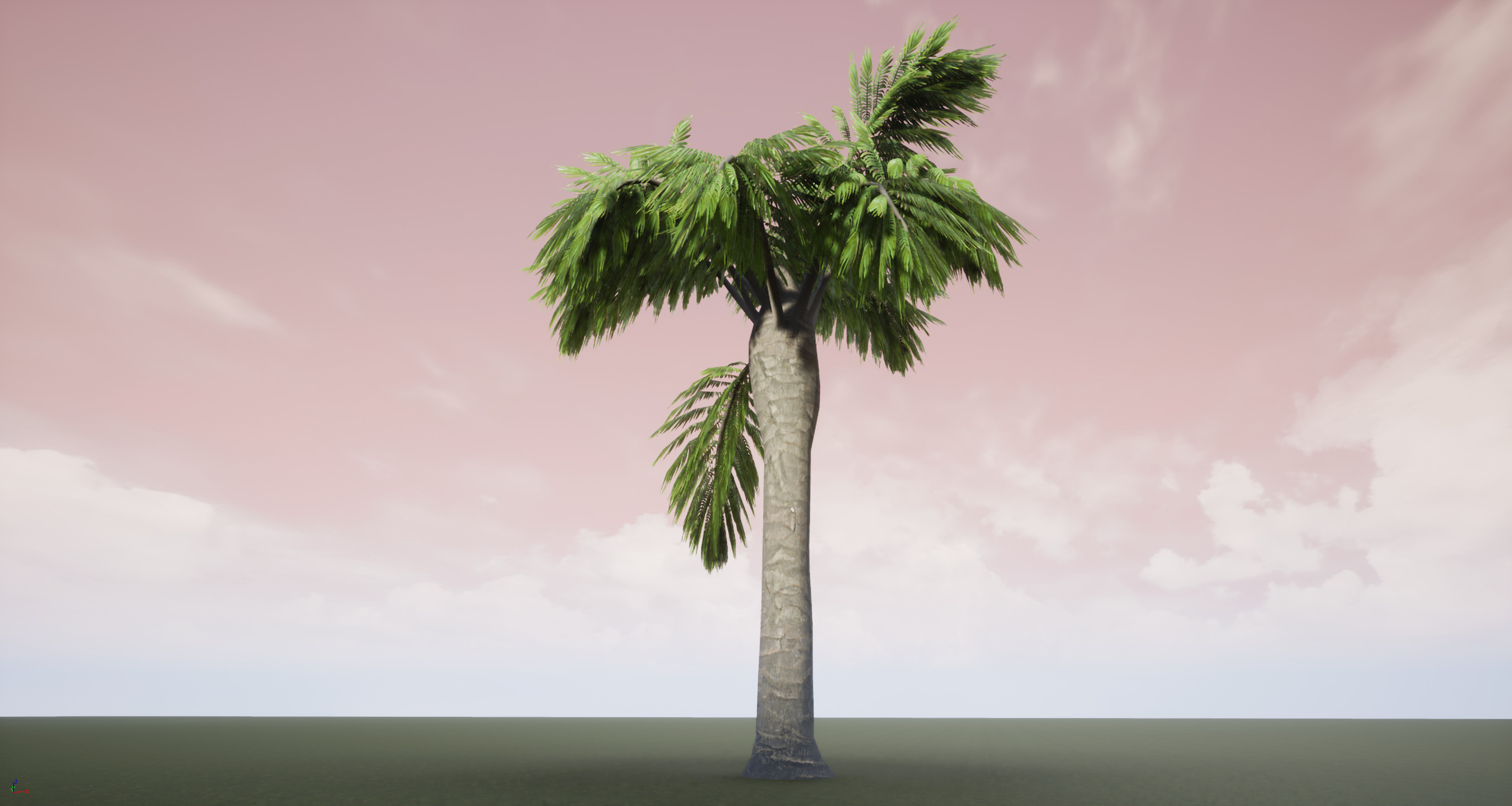 Palm Tree 3D model_2