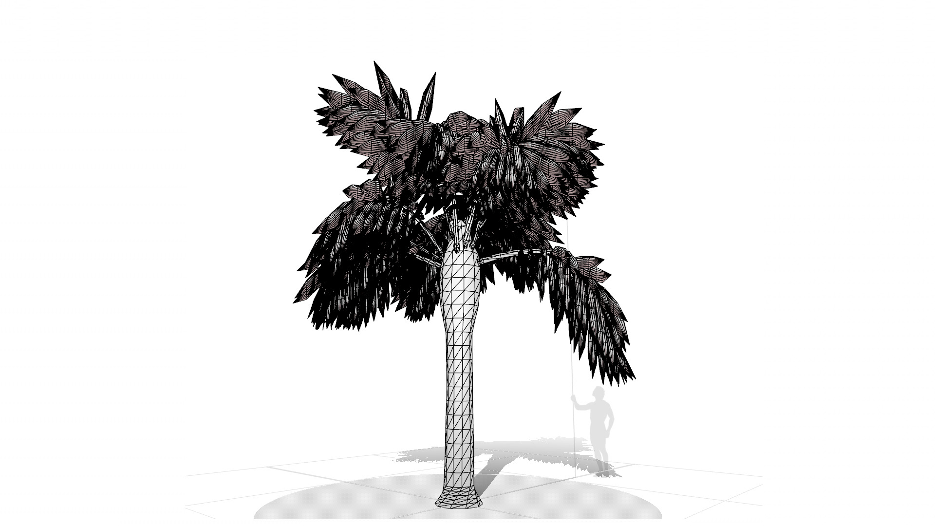 Palm Tree 3D model_6