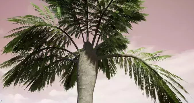 Palm Tree 3D model Palm Tree 3D model