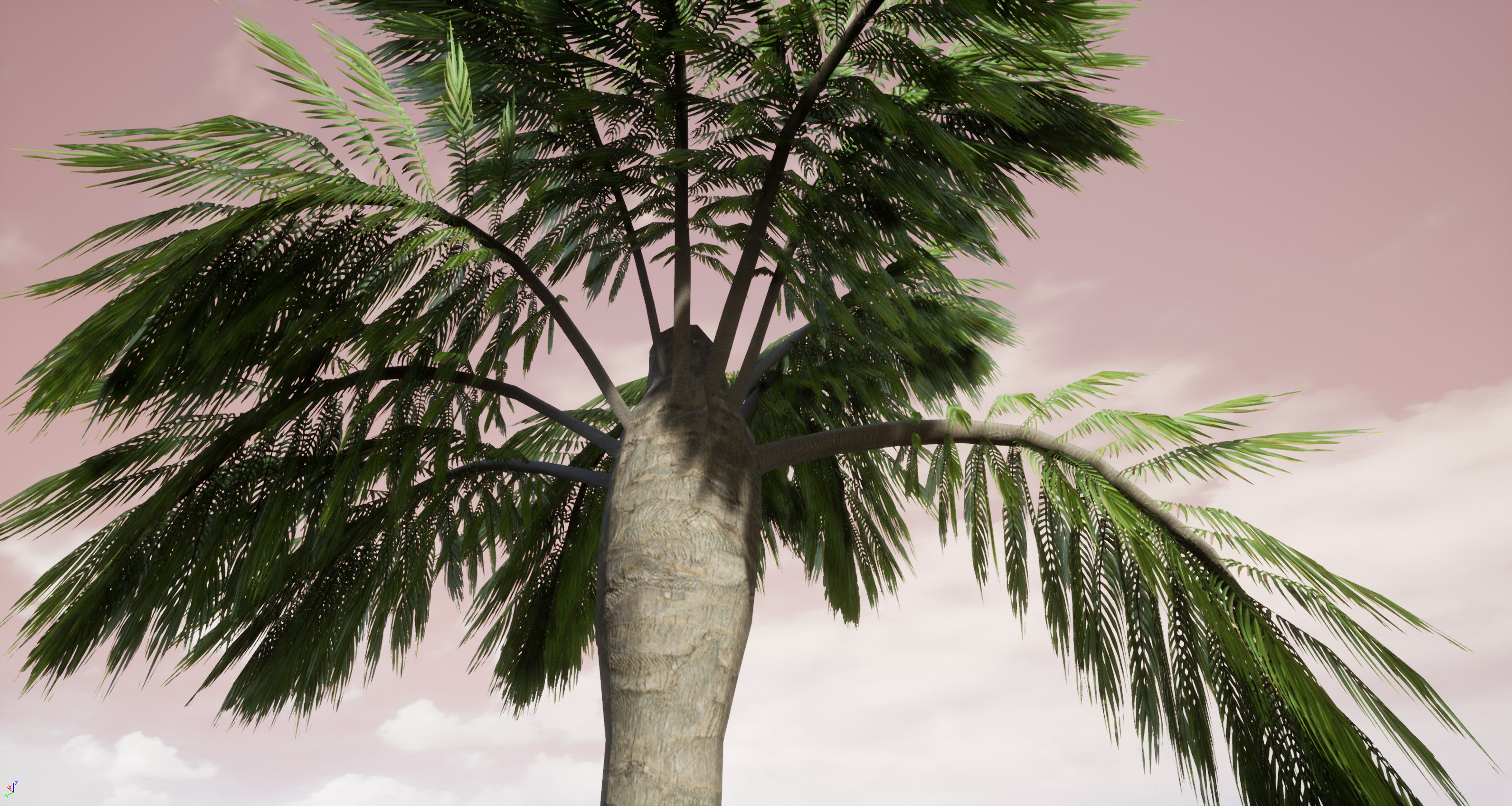 Palm Tree 3D model_0
