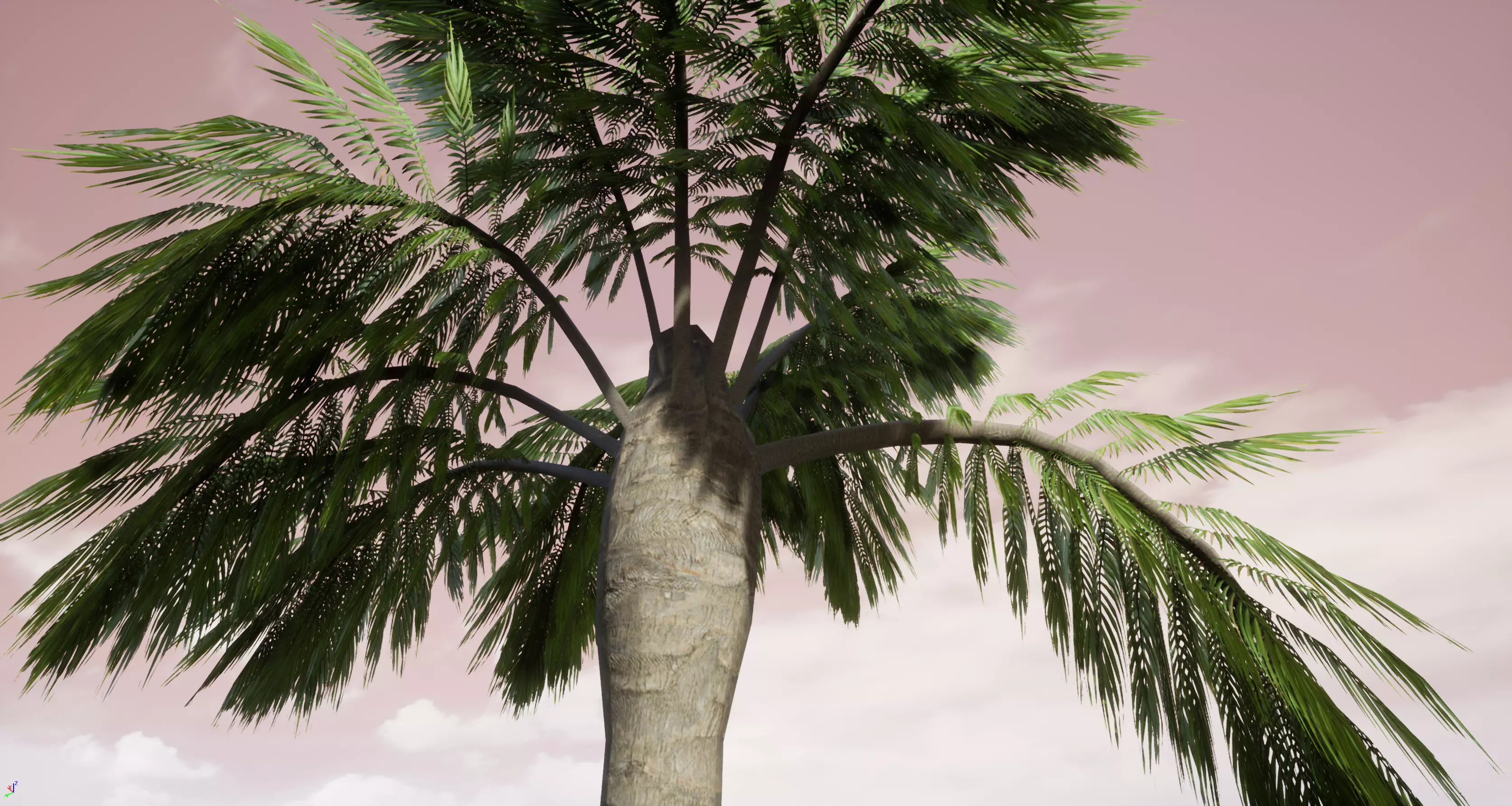 Palm Tree 3D model_0