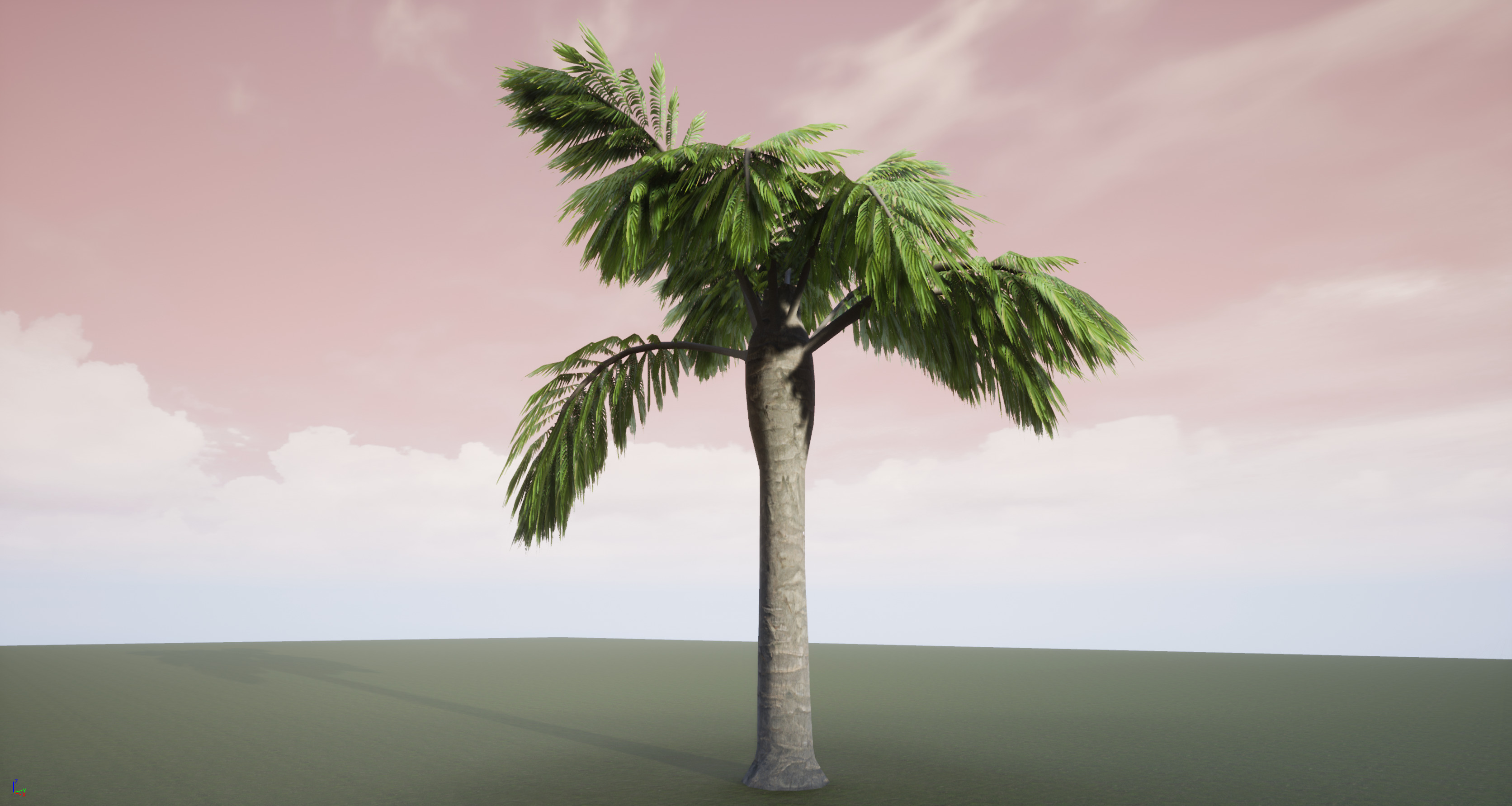 Palm Tree 3D model_1