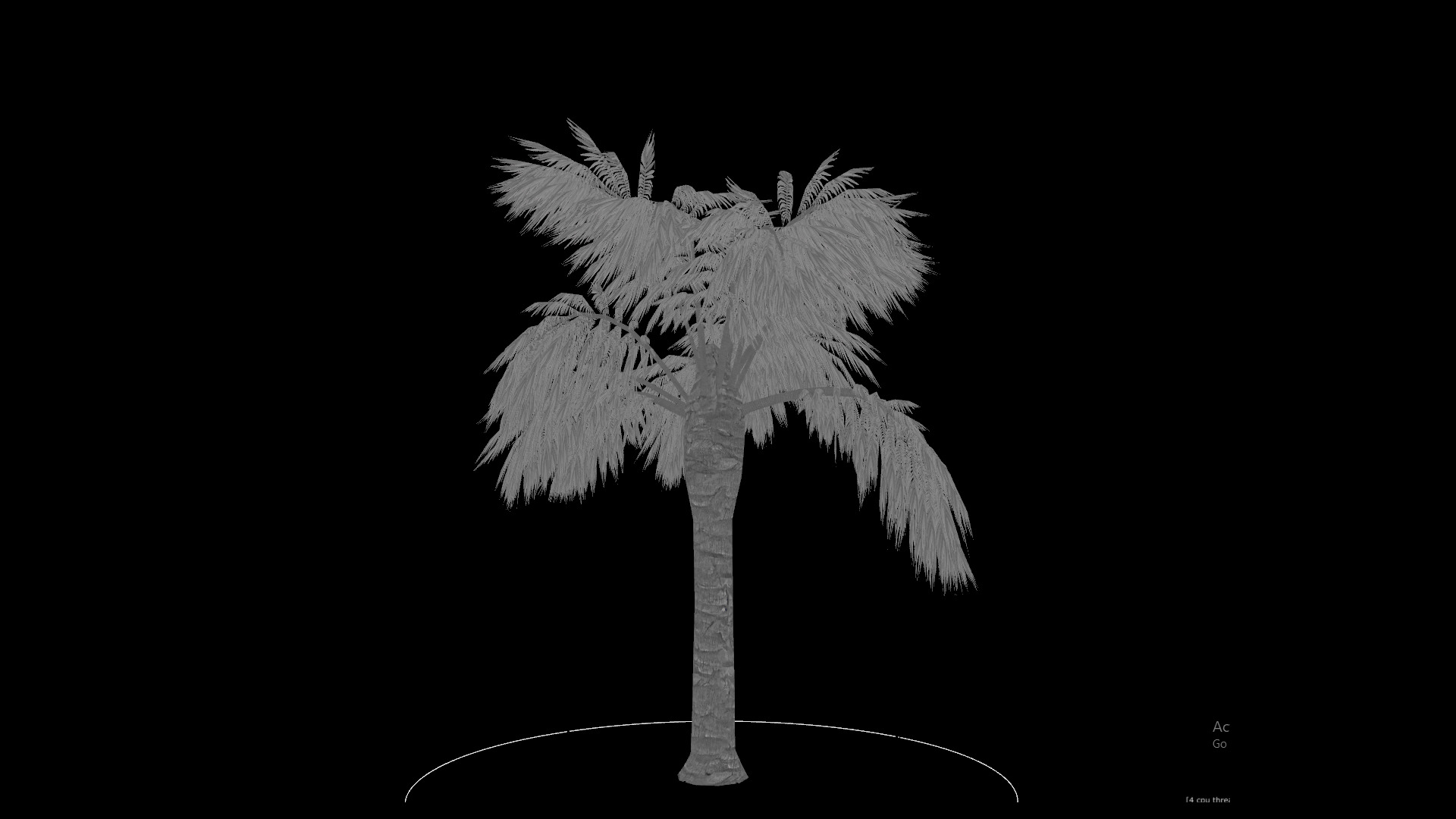 Palm Tree 3D model_5