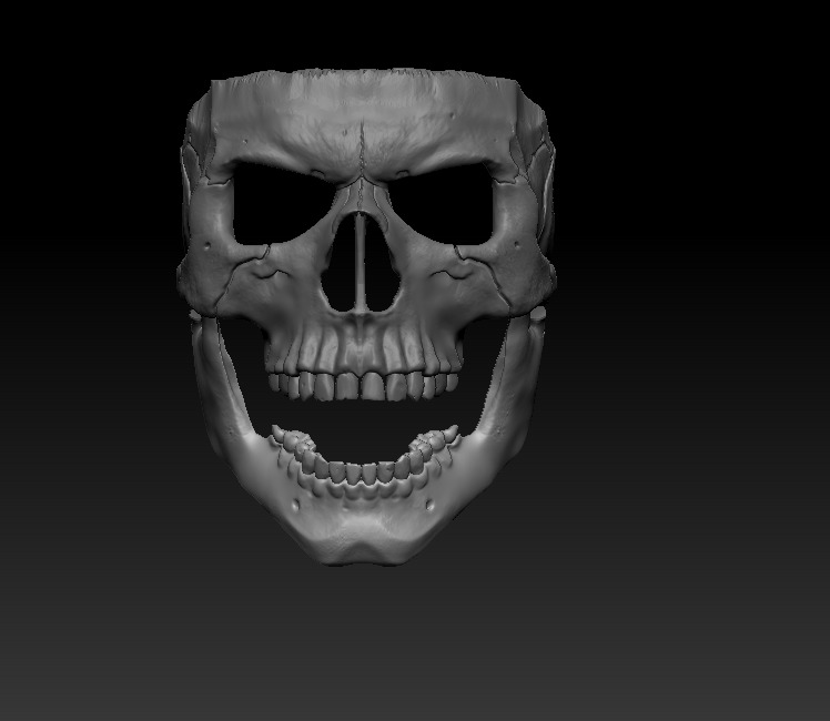 Skull Mask 3D print model_4