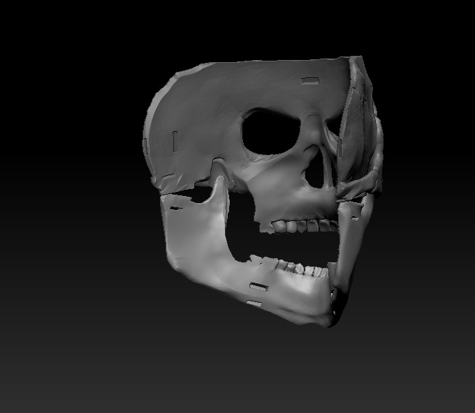 Skull Mask 3D print model_5
