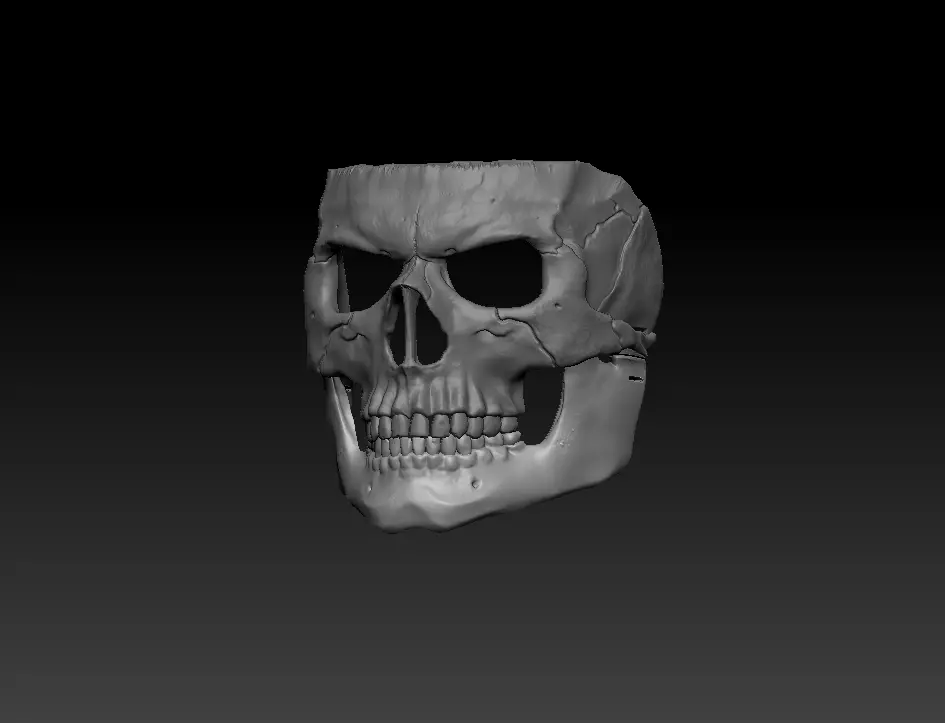 Skull Mask 3D print model_0