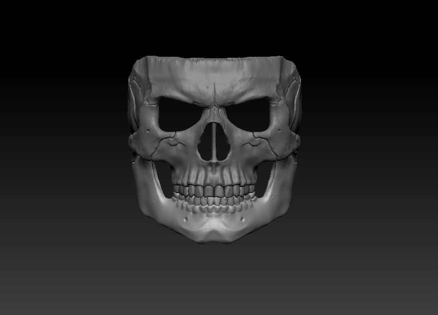 Skull Mask 3D print model_1