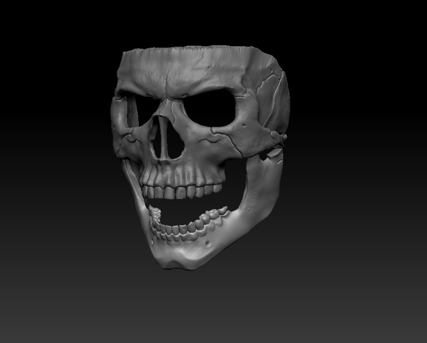 Skull Mask 3D print model_3