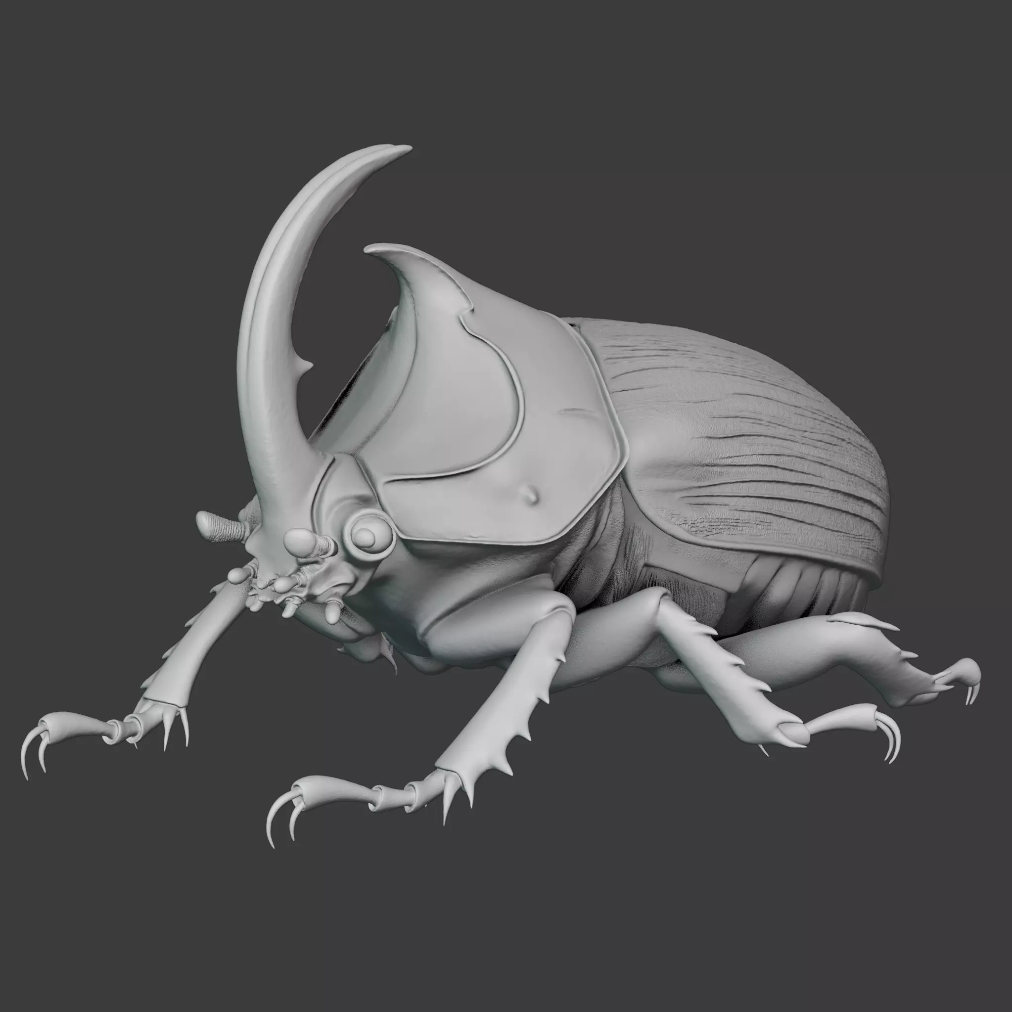 Rhinoceros Beetle - Horn Beetle 3D print model