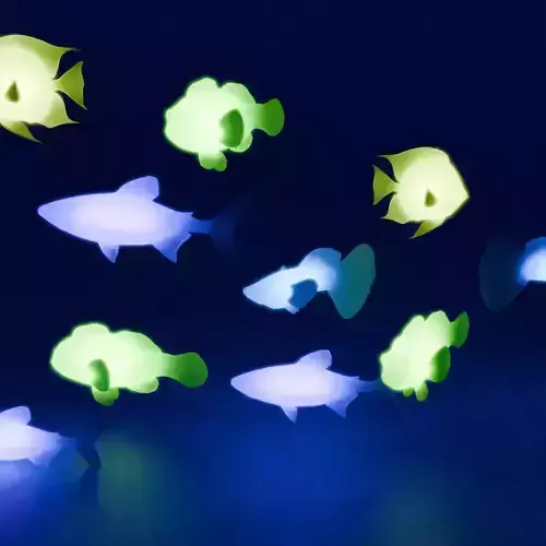 Indirect lighting of tropical fish