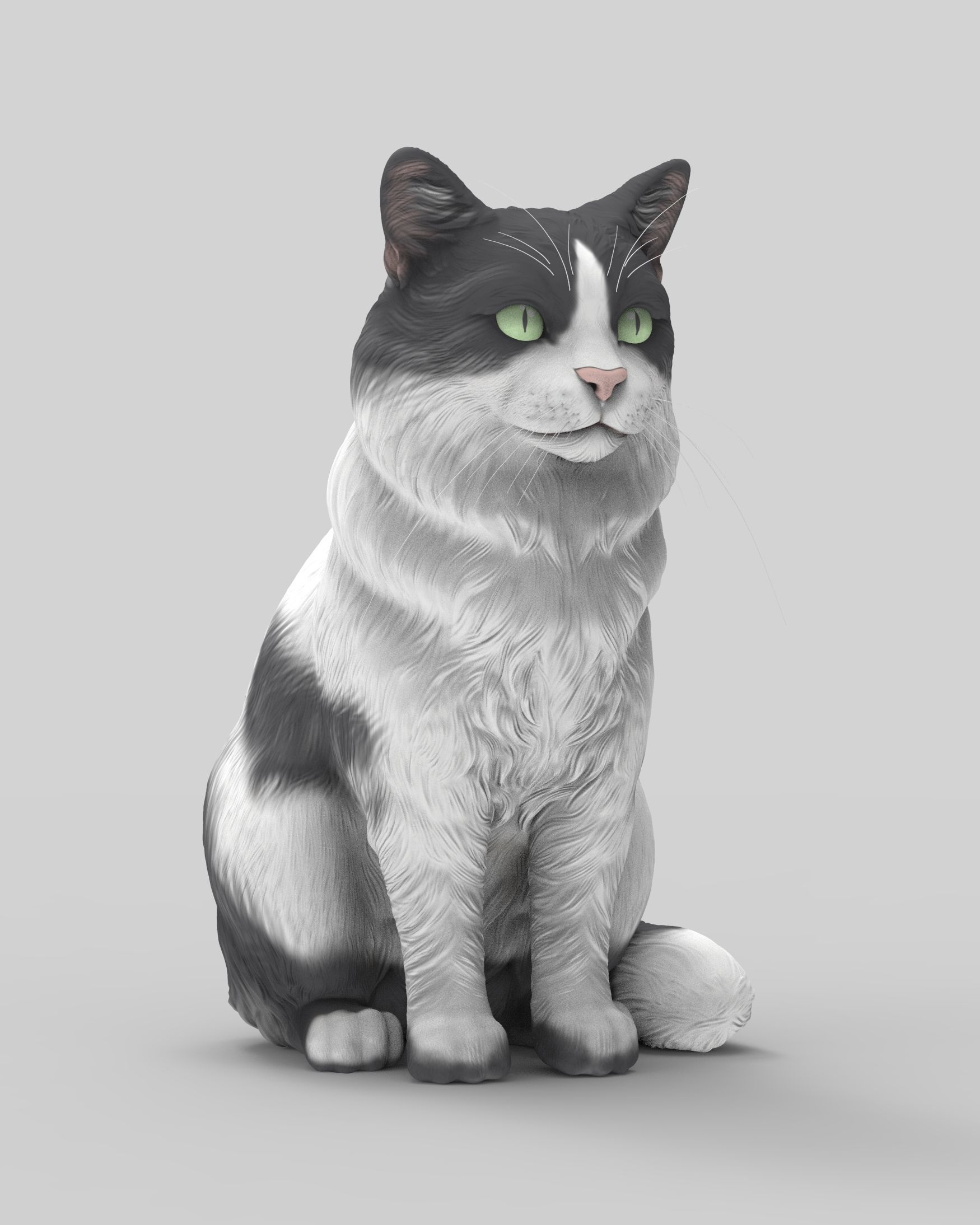Gato Mestizo Realista 3D print model_10