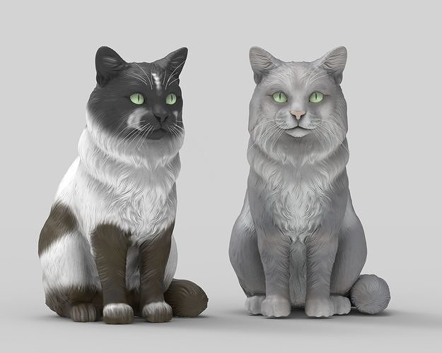 Gato Mestizo Realista 3D print model