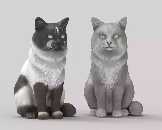 Gato Mestizo Realista