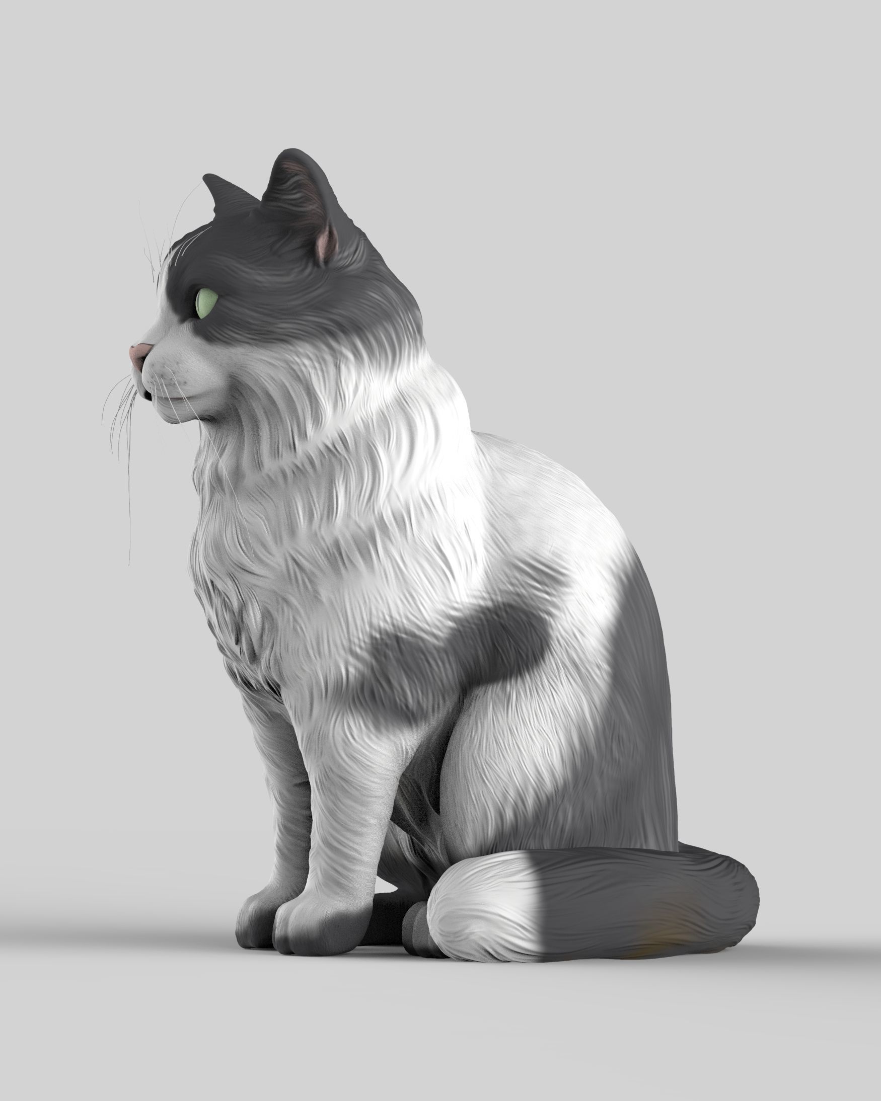 Gato Mestizo Realista 3D print model_9