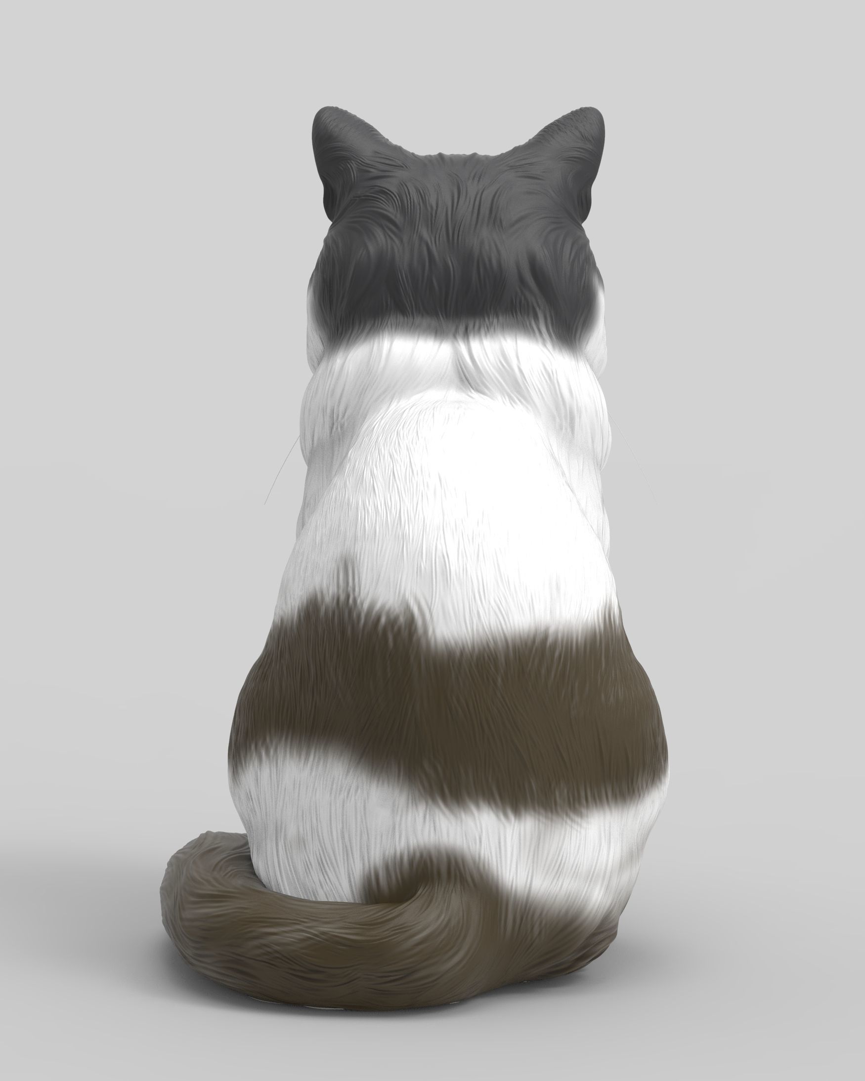 Gato Mestizo Realista 3D print model_5