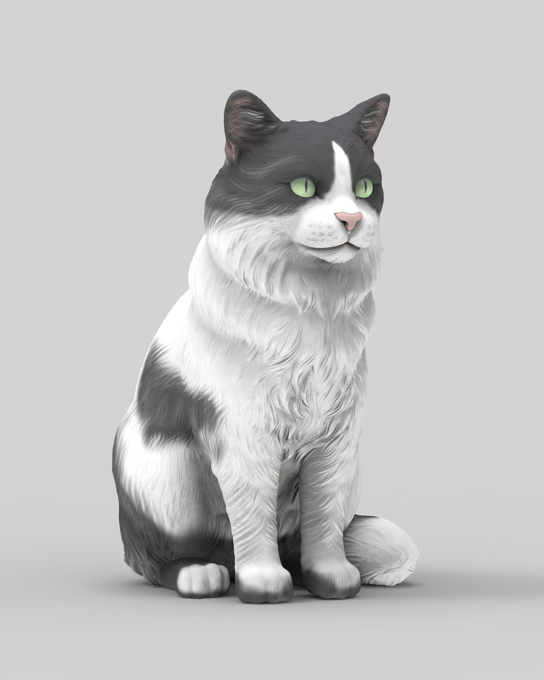 Gato Mestizo Realista 3D print model_6
