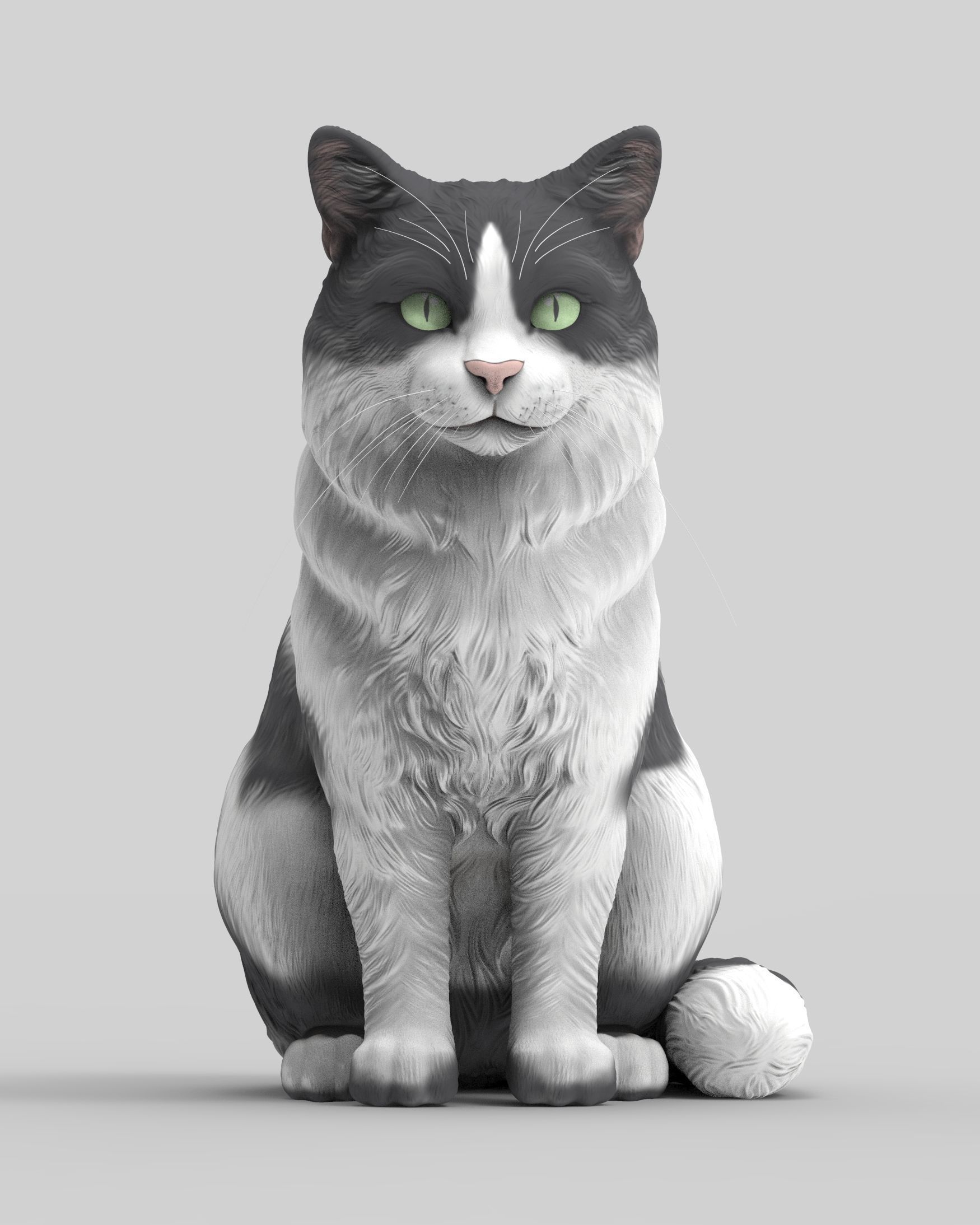 Gato Mestizo Realista 3D print model_11
