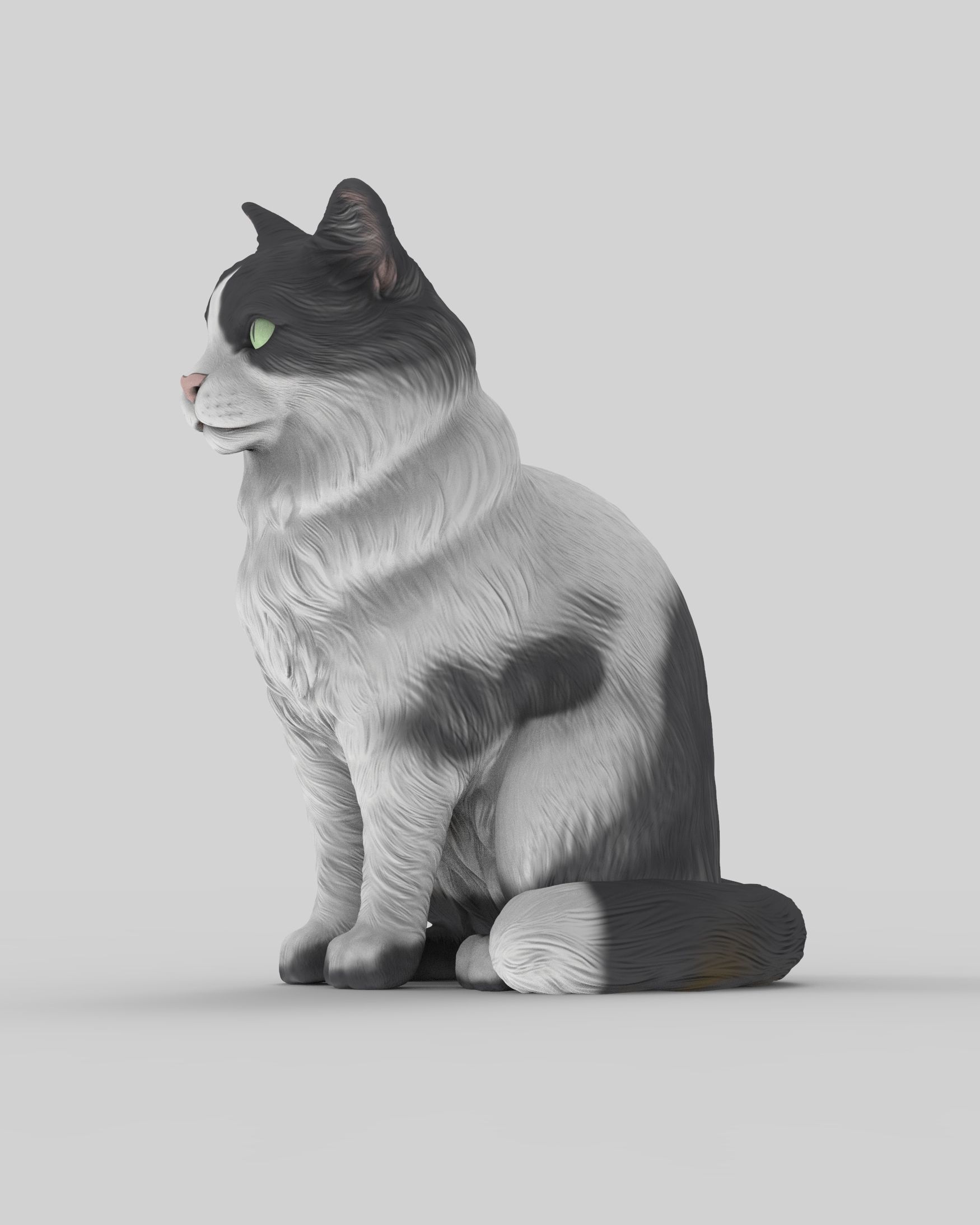 Gato Mestizo Realista 3D print model_7