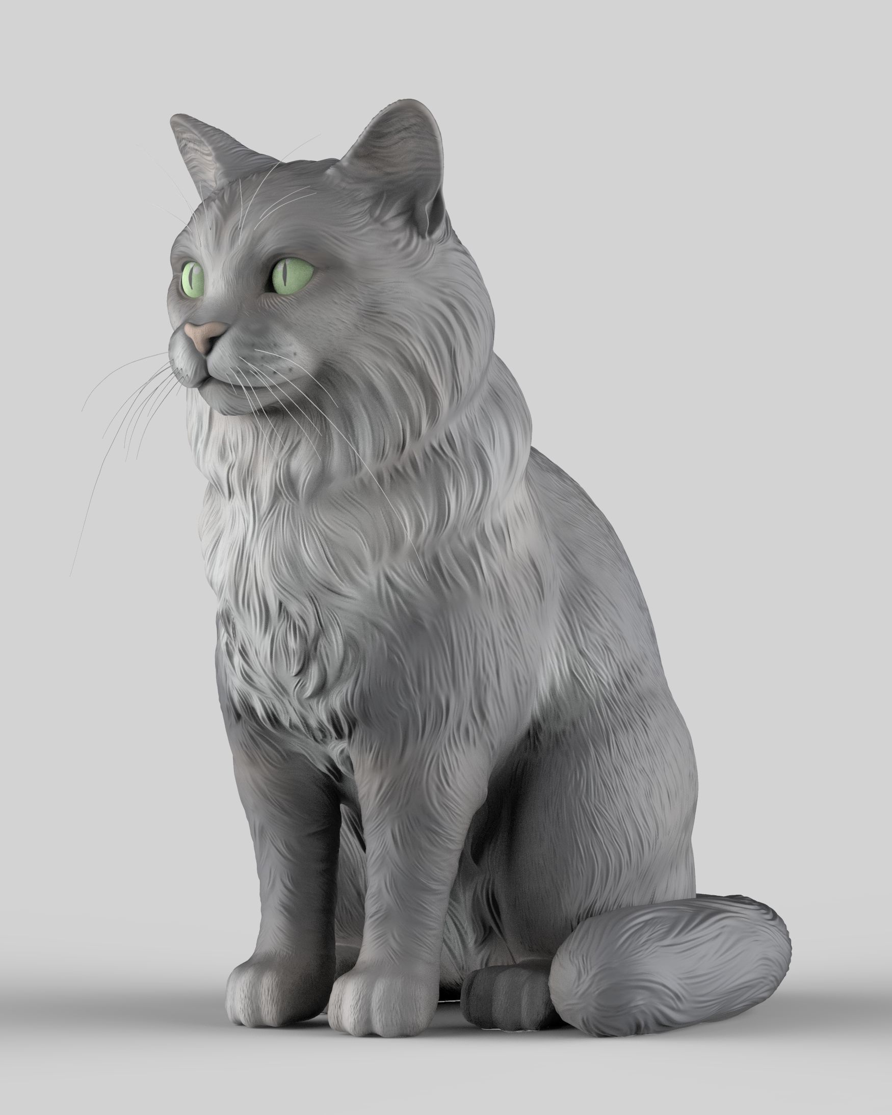 Gato Mestizo Realista 3D print model_13