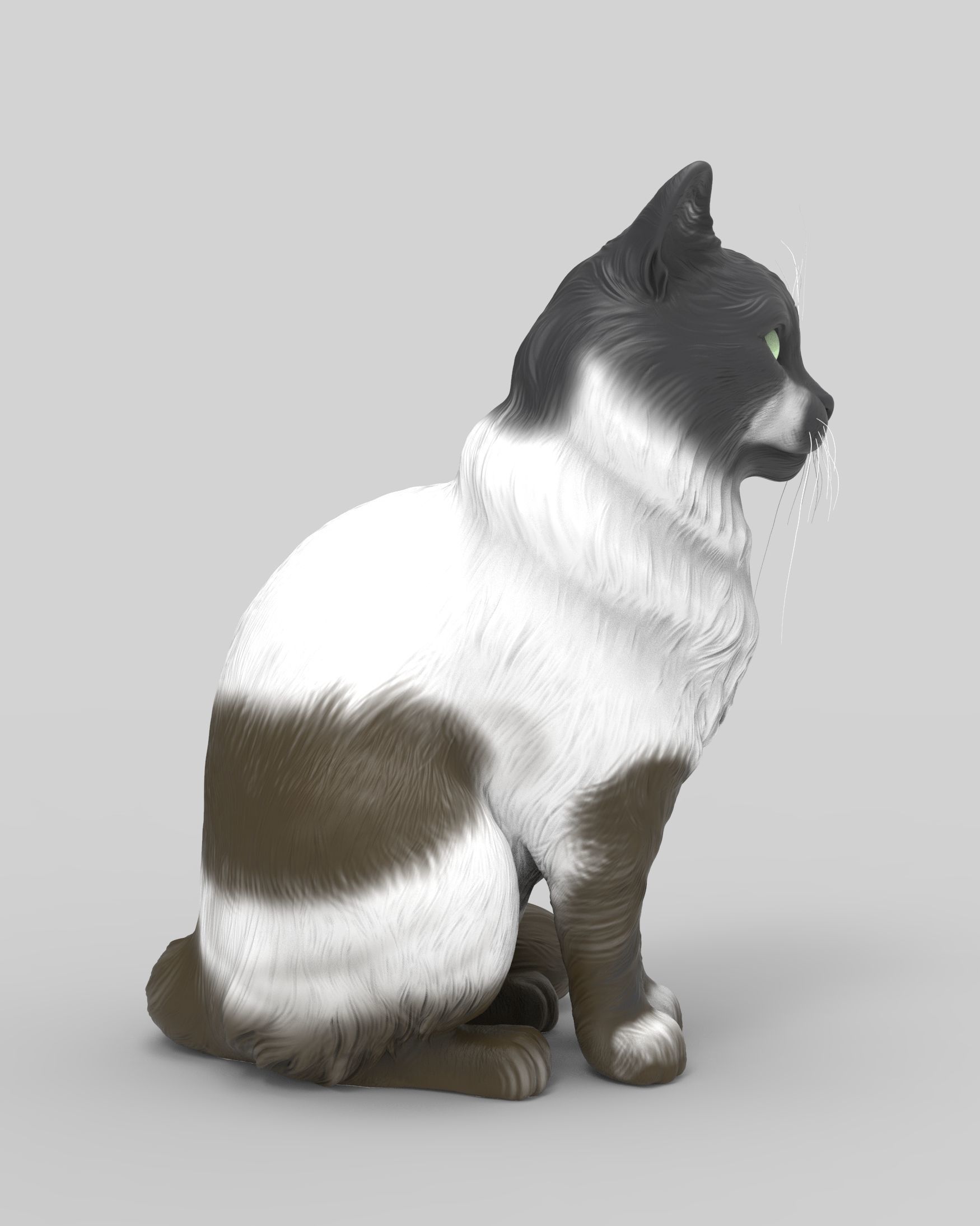Gato Mestizo Realista 3D print model_4