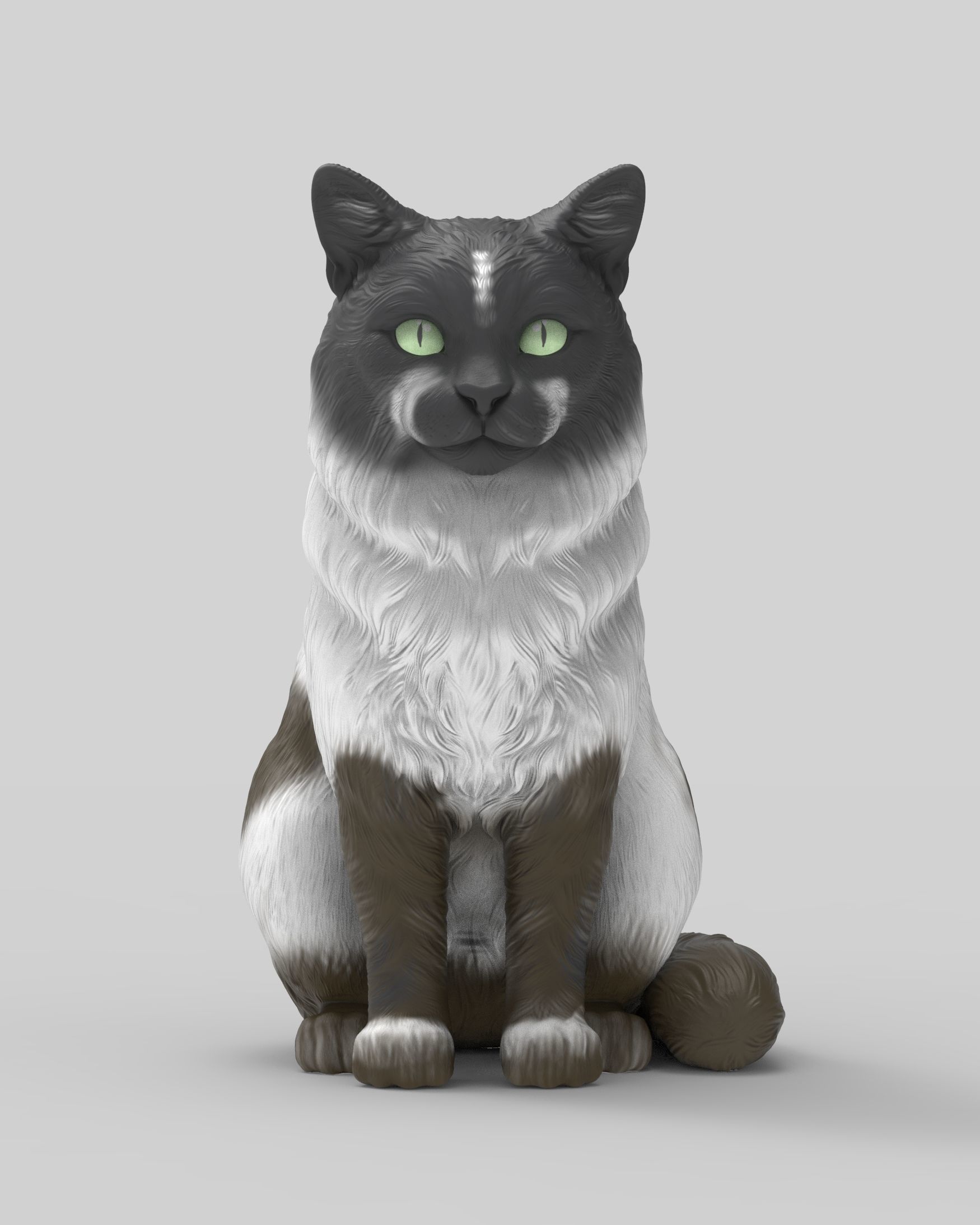Gato Mestizo Realista 3D print model_3