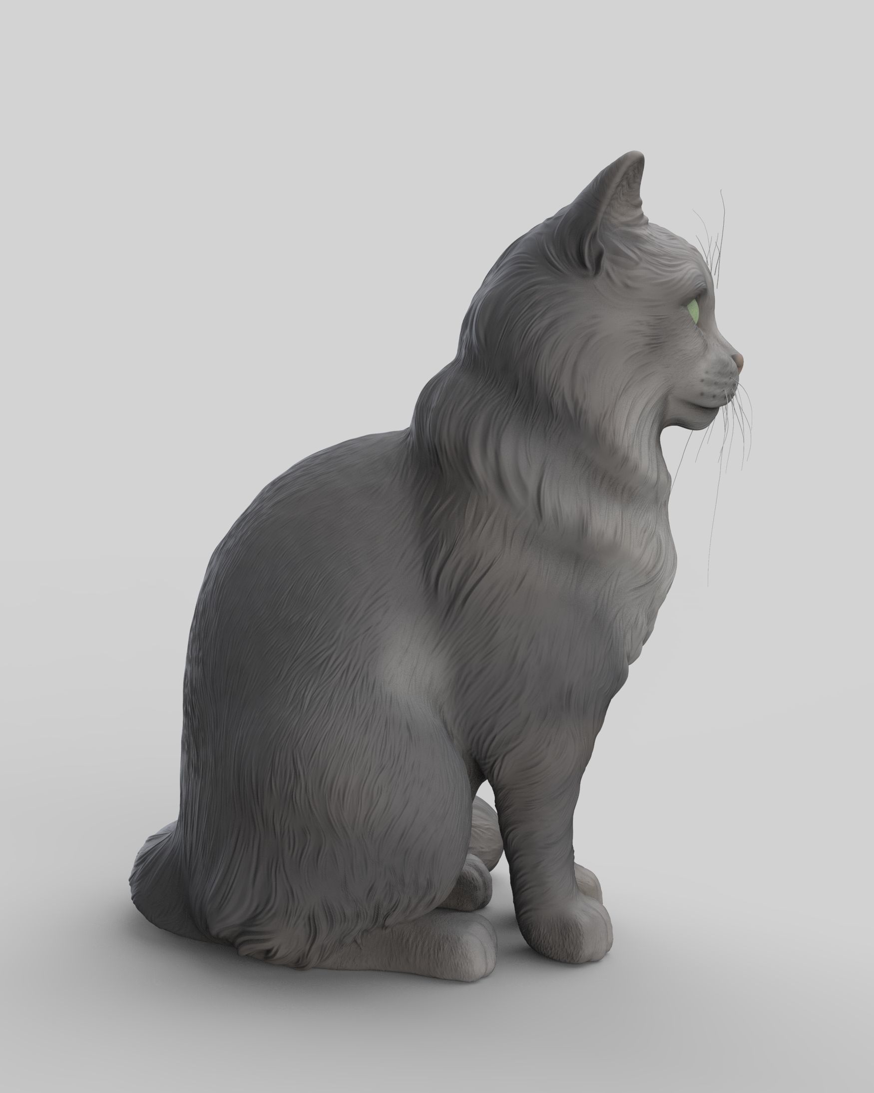 Gato Mestizo Realista 3D print model_16