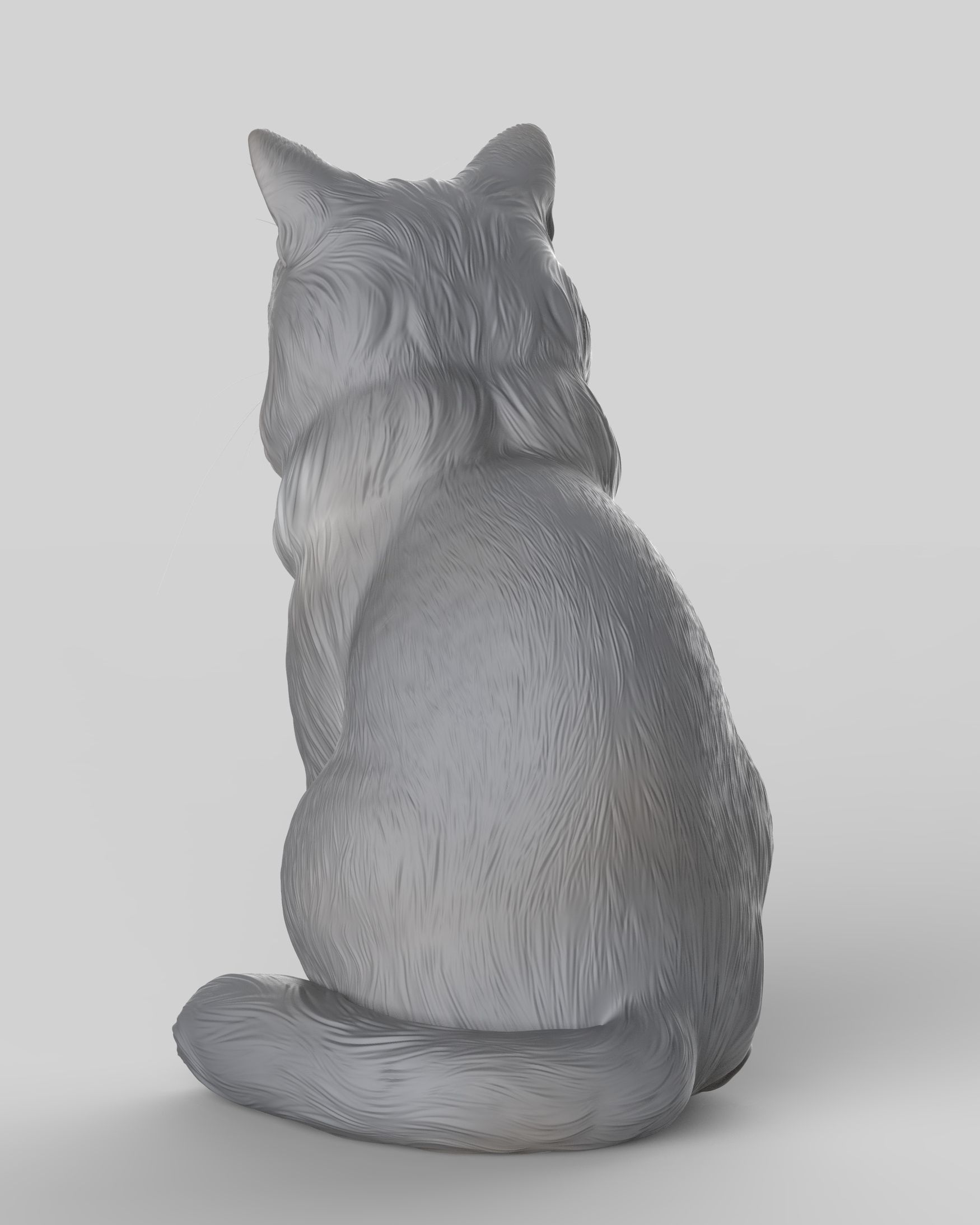 Gato Mestizo Realista 3D print model_14