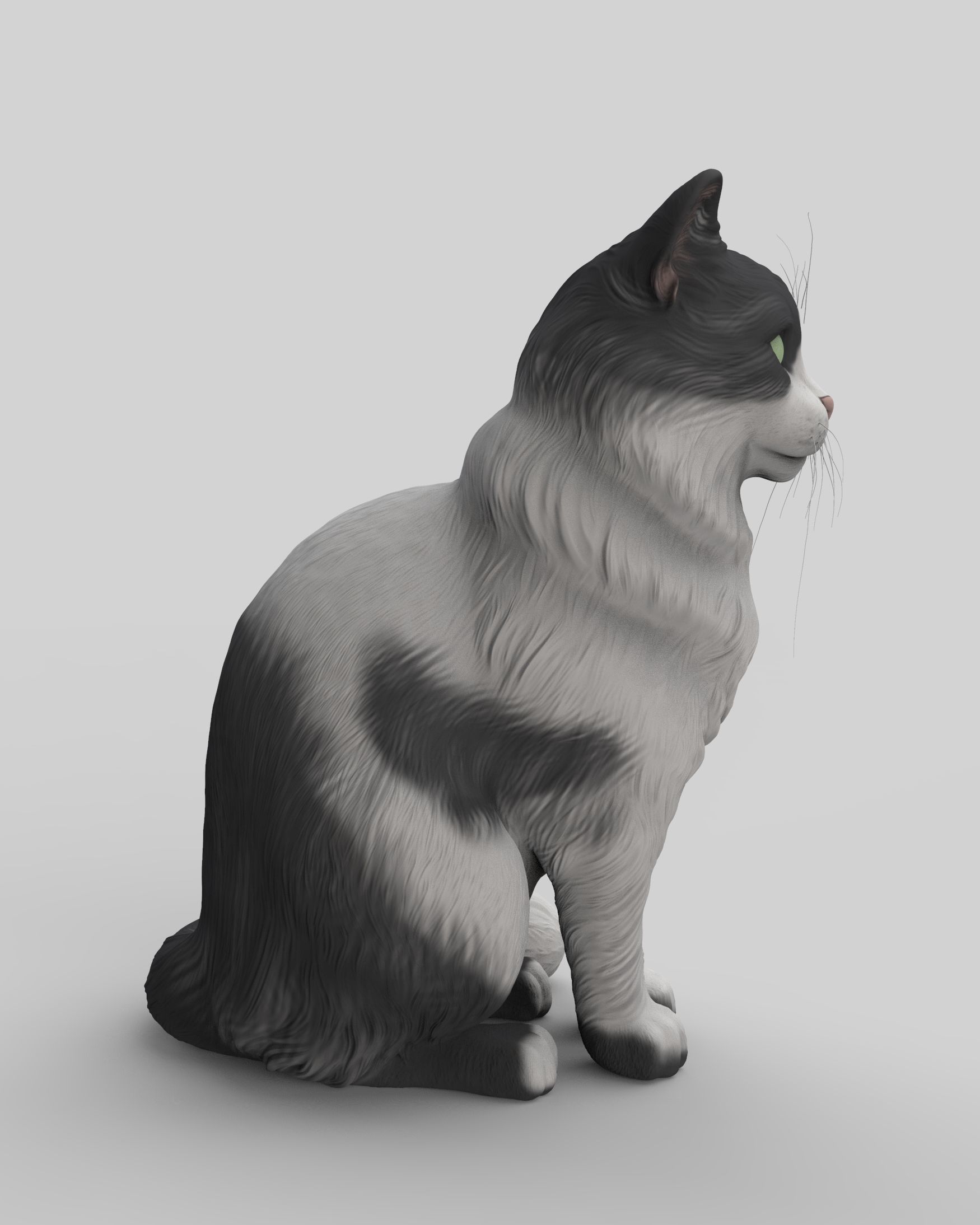Gato Mestizo Realista 3D print model_12