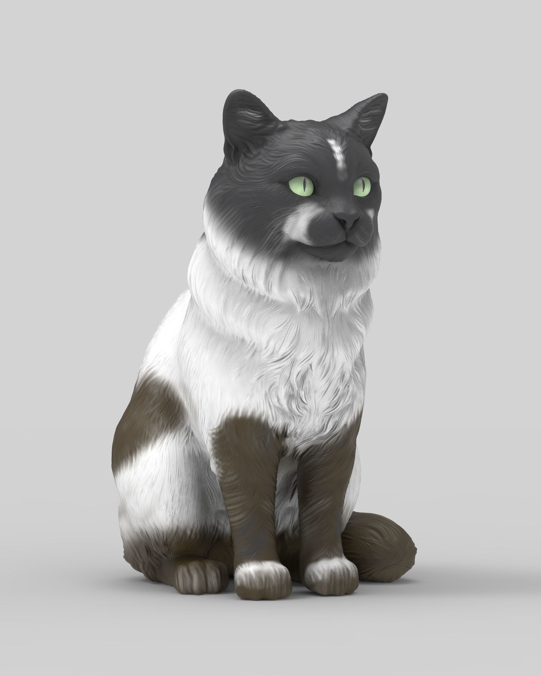 Gato Mestizo Realista 3D print model_2