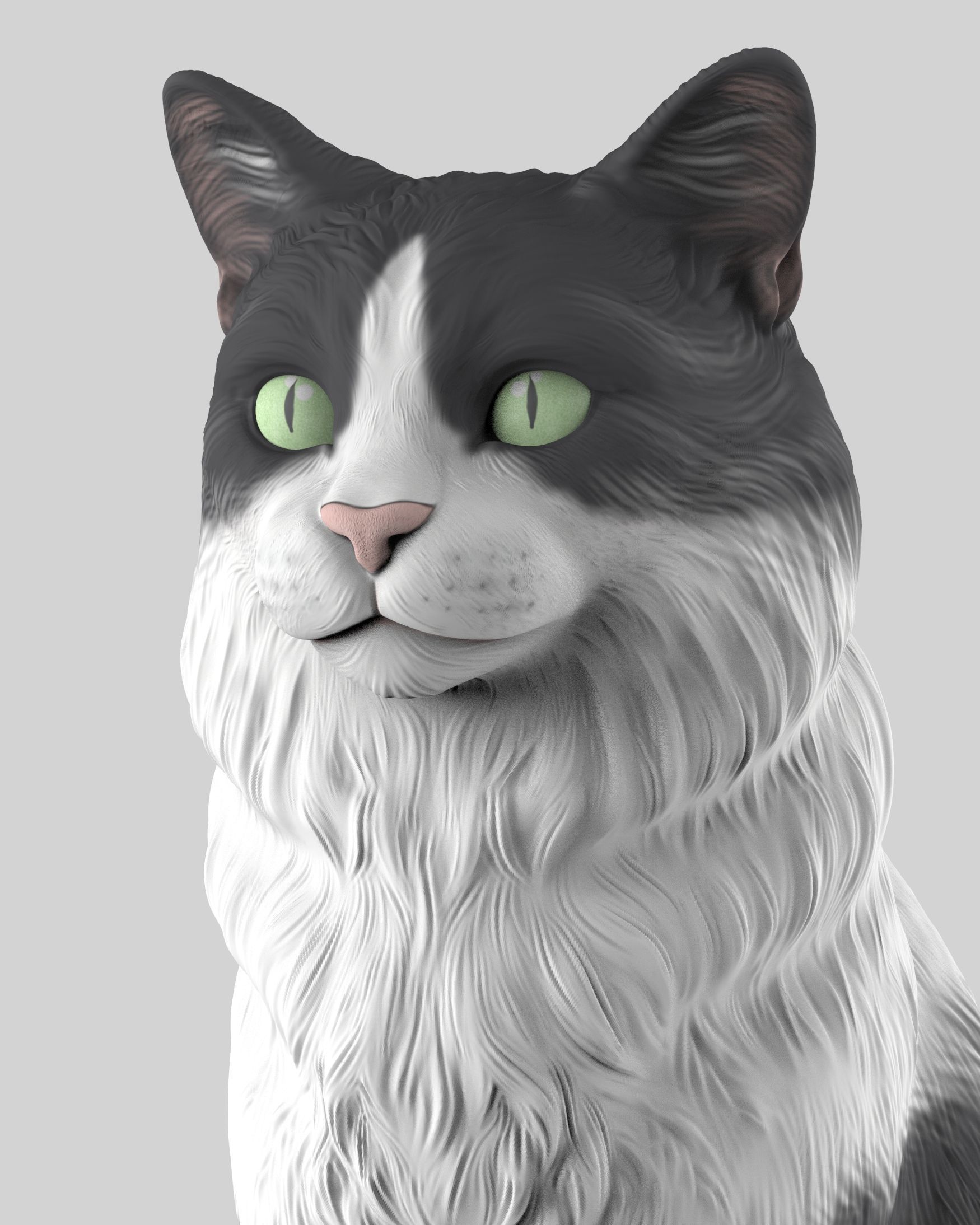 Gato Mestizo Realista 3D print model_8
