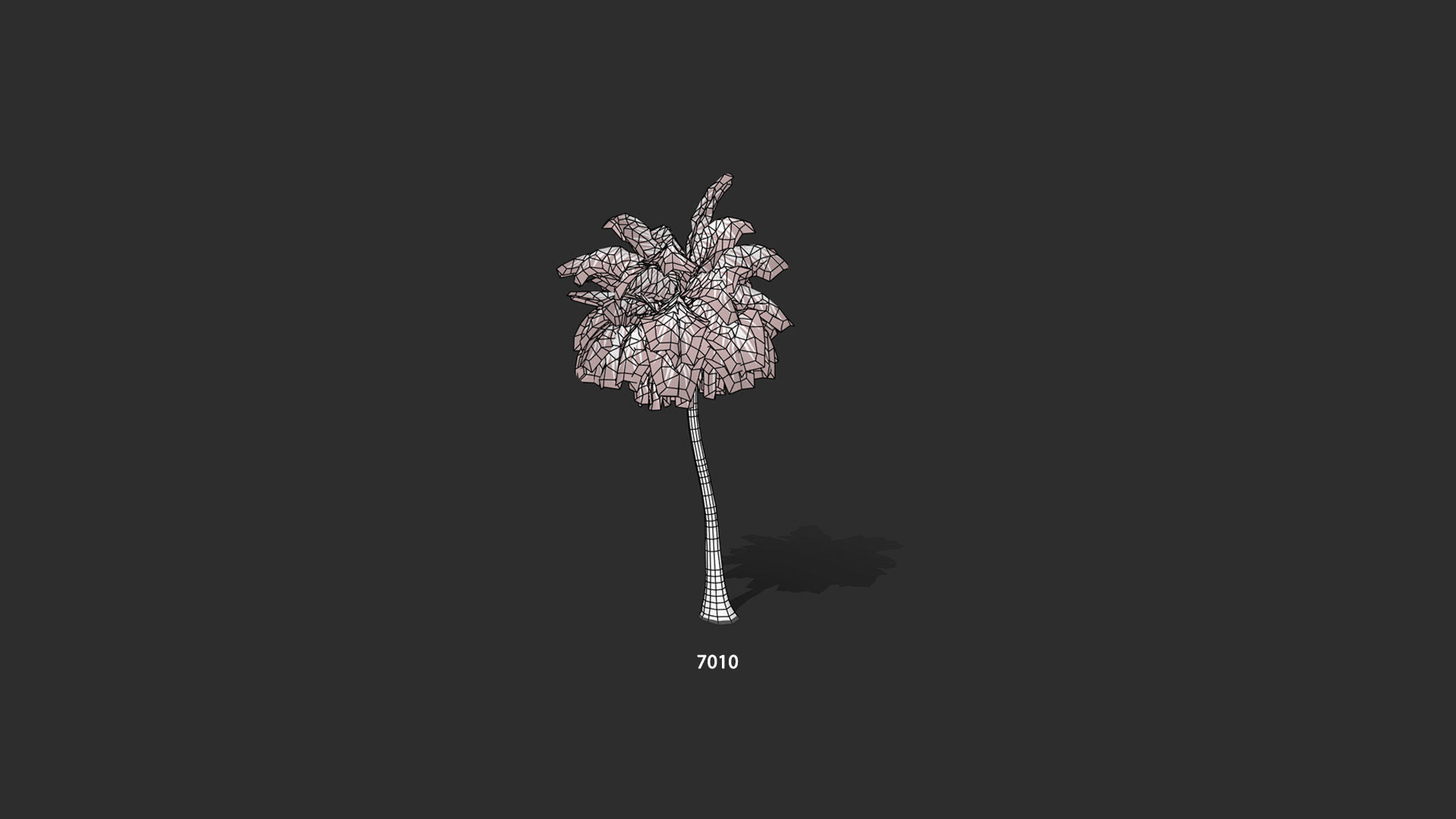 COCONUT TREE PACK - INCLUDE LOOP ANIMATION PACK Low-poly 3D model_5