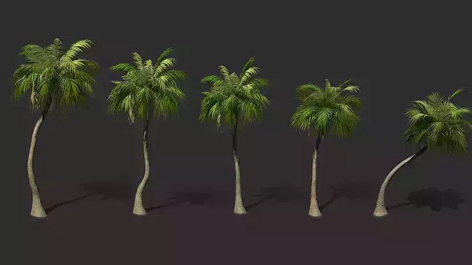 COCONUT TREE PACK - INCLUDE LOOP ANIMATION PACK Low-poly 3D model COCONUT TREE PACK - INCLUDE LOOP ANIMATION PACK Low-poly 3D model
