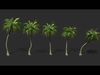 COCONUT TREE PACK - INCLUDE LOOP ANIMATION PACK Low-poly 3D model_1